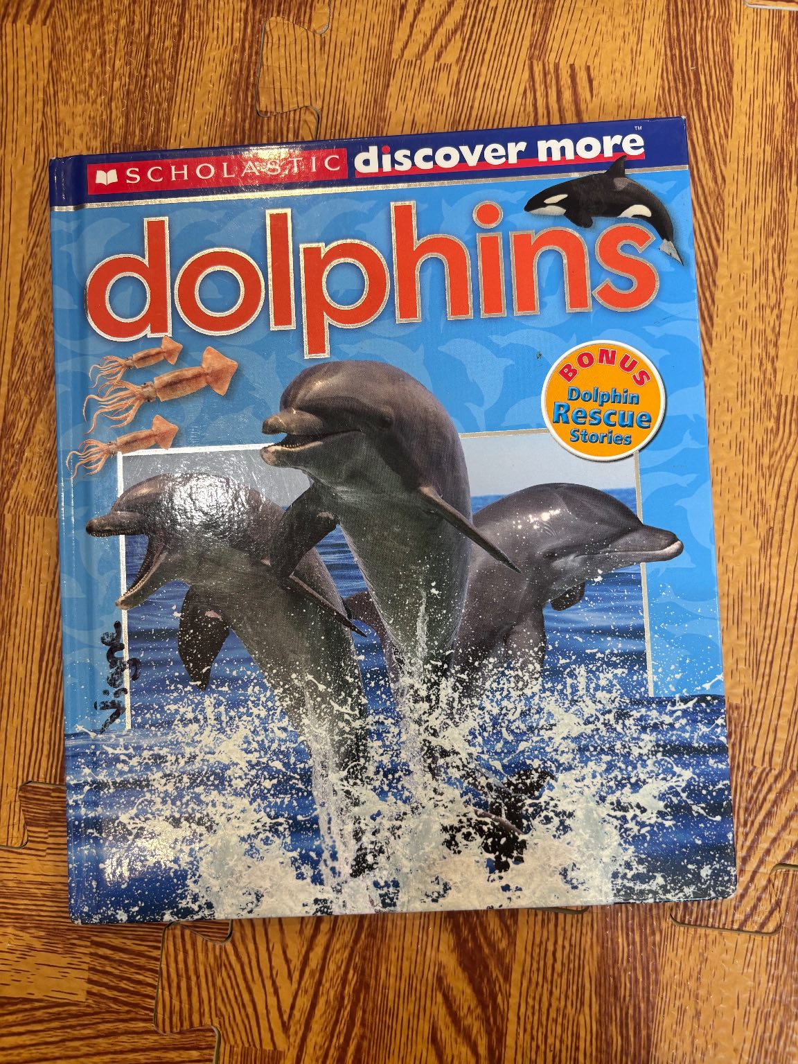 Dolphins — ảnh 1