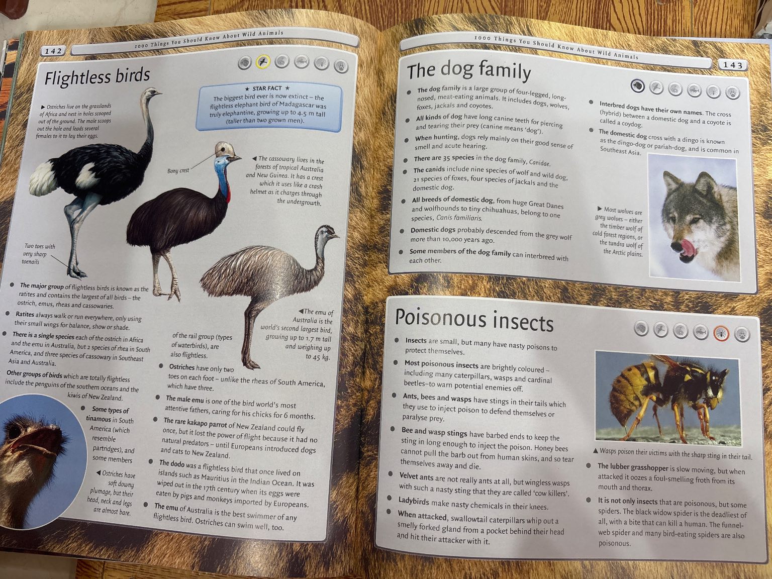 4000 things you should know about Animals — ảnh 6