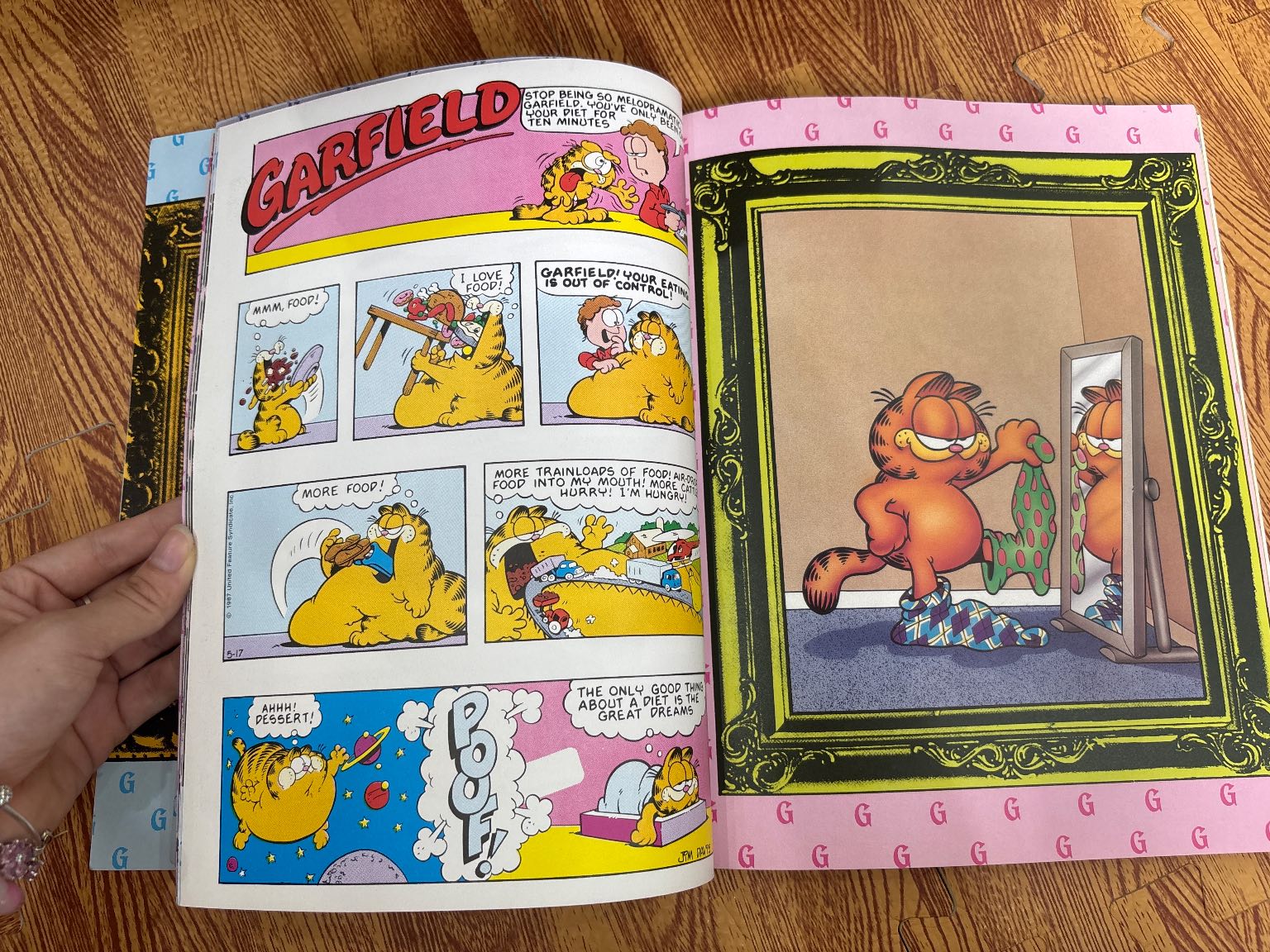 The Garfield Selection — ảnh 7