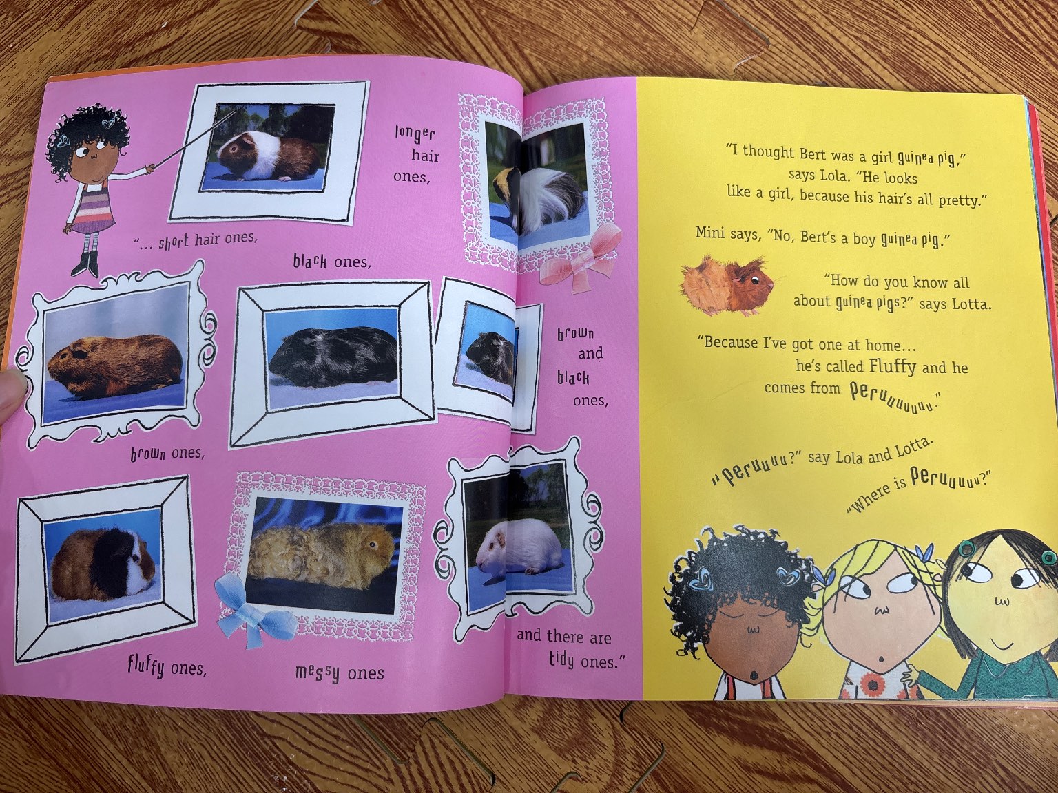 I Completely KNOW about Guinea Pigs — ảnh 3