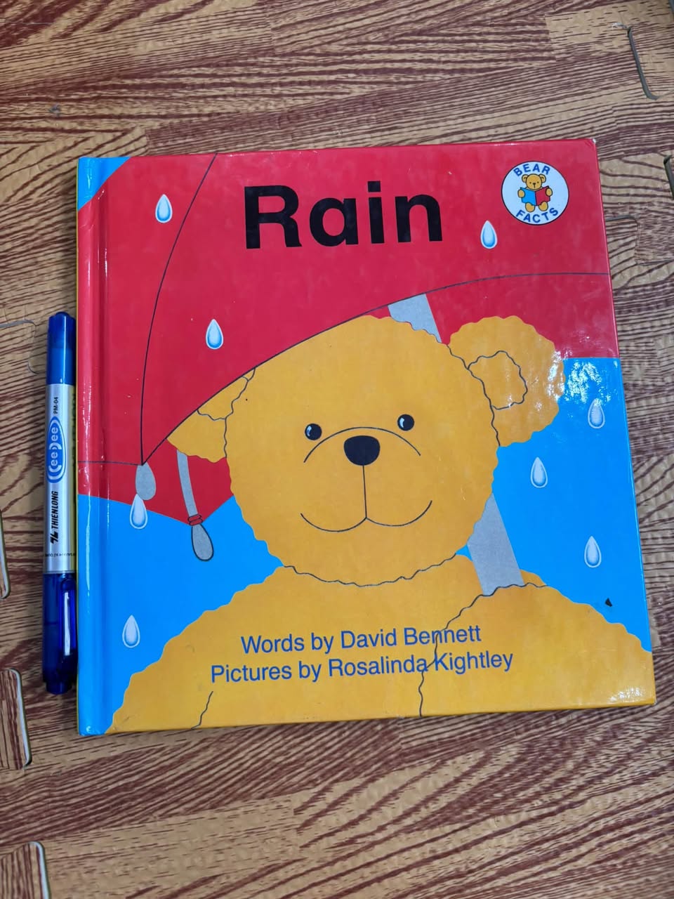 RAIN (DAVID BENNETT & ROSALINDA KIGHTLEY)