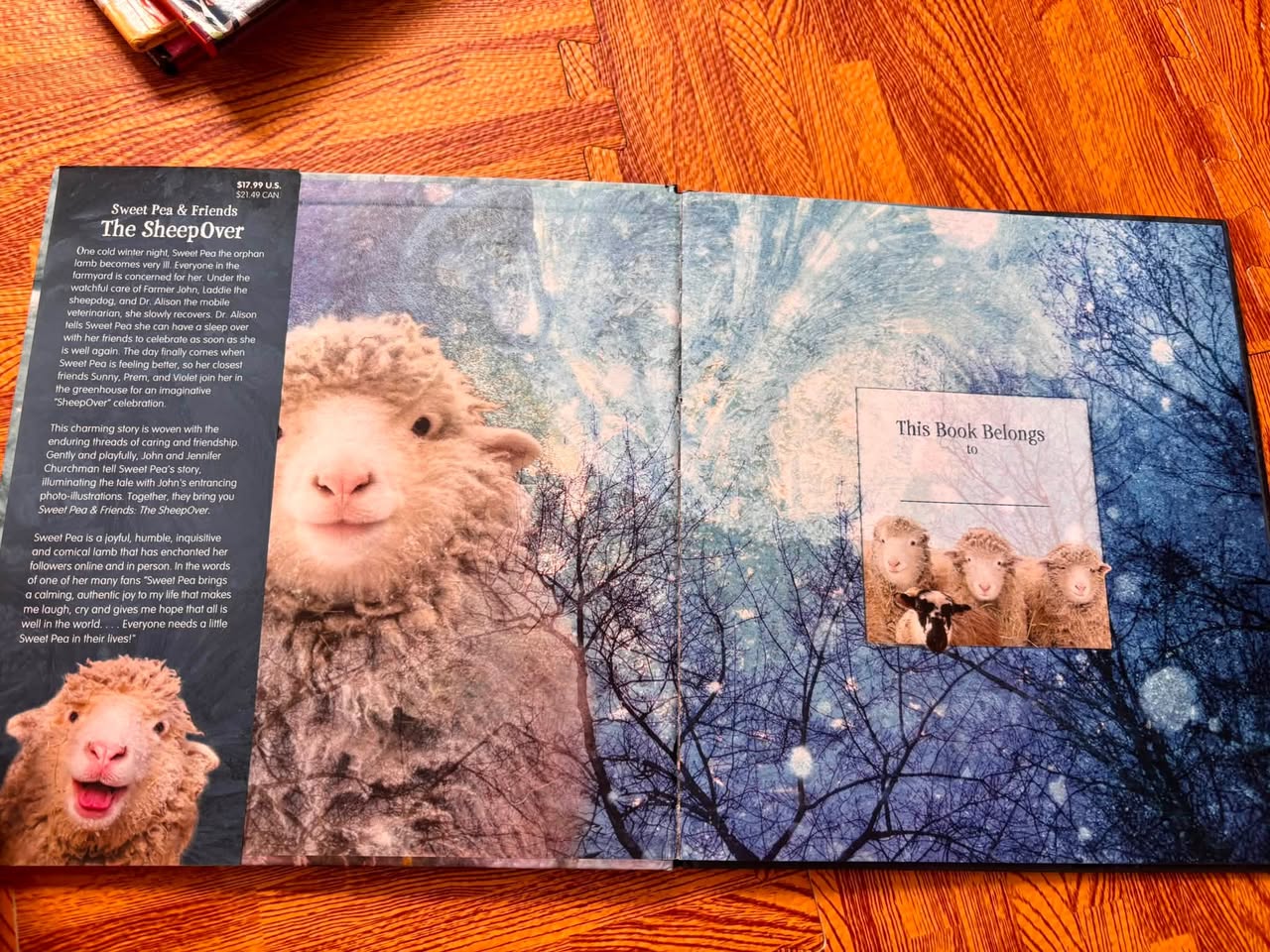SWEET PEA & FRIENDS: THE SHEEPOVER (JOHN & JENNIFER CHURCHMAN) — ảnh 2