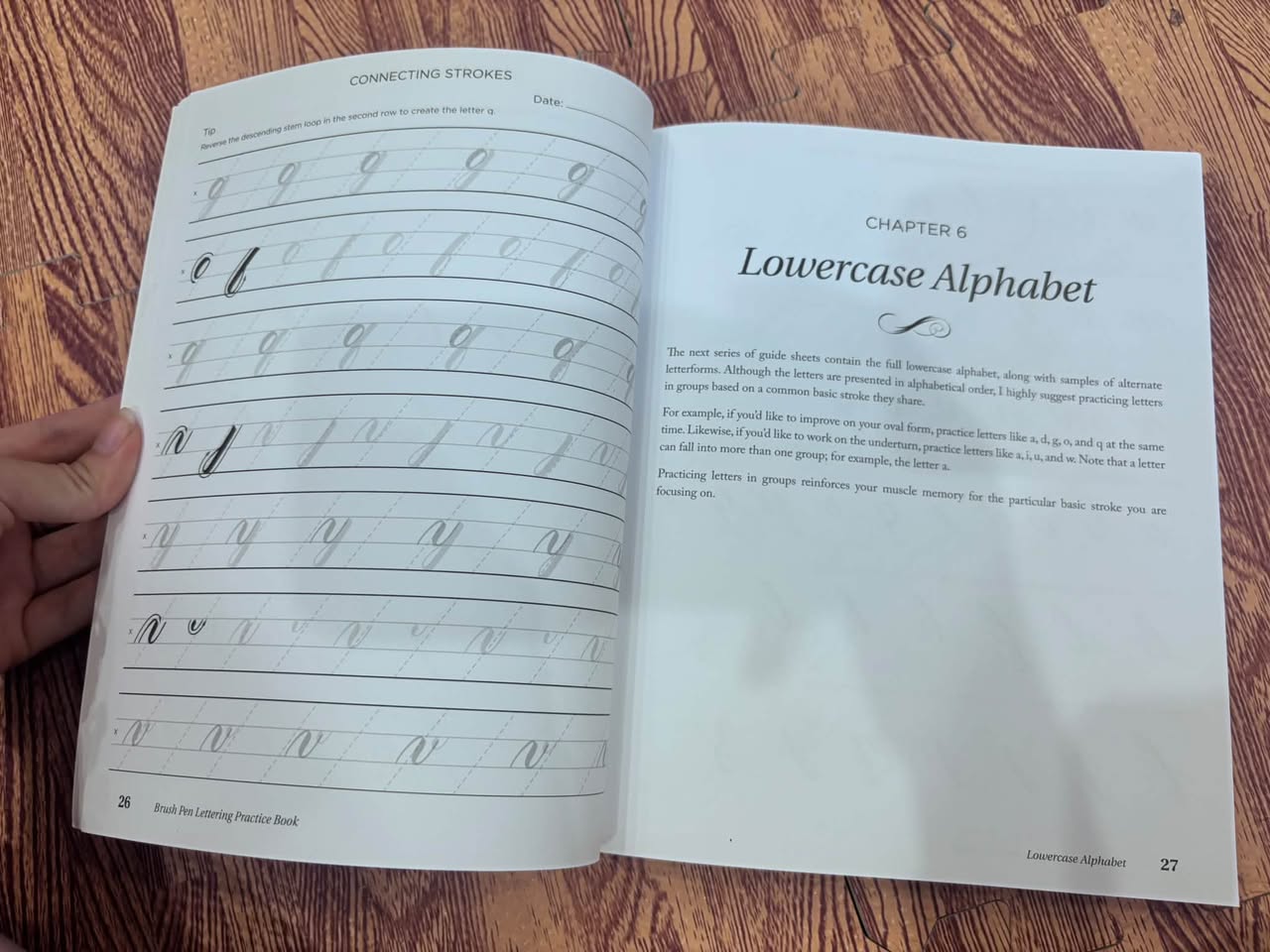 Brush Pen Lettering Practice Book – Grace Song — ảnh 3