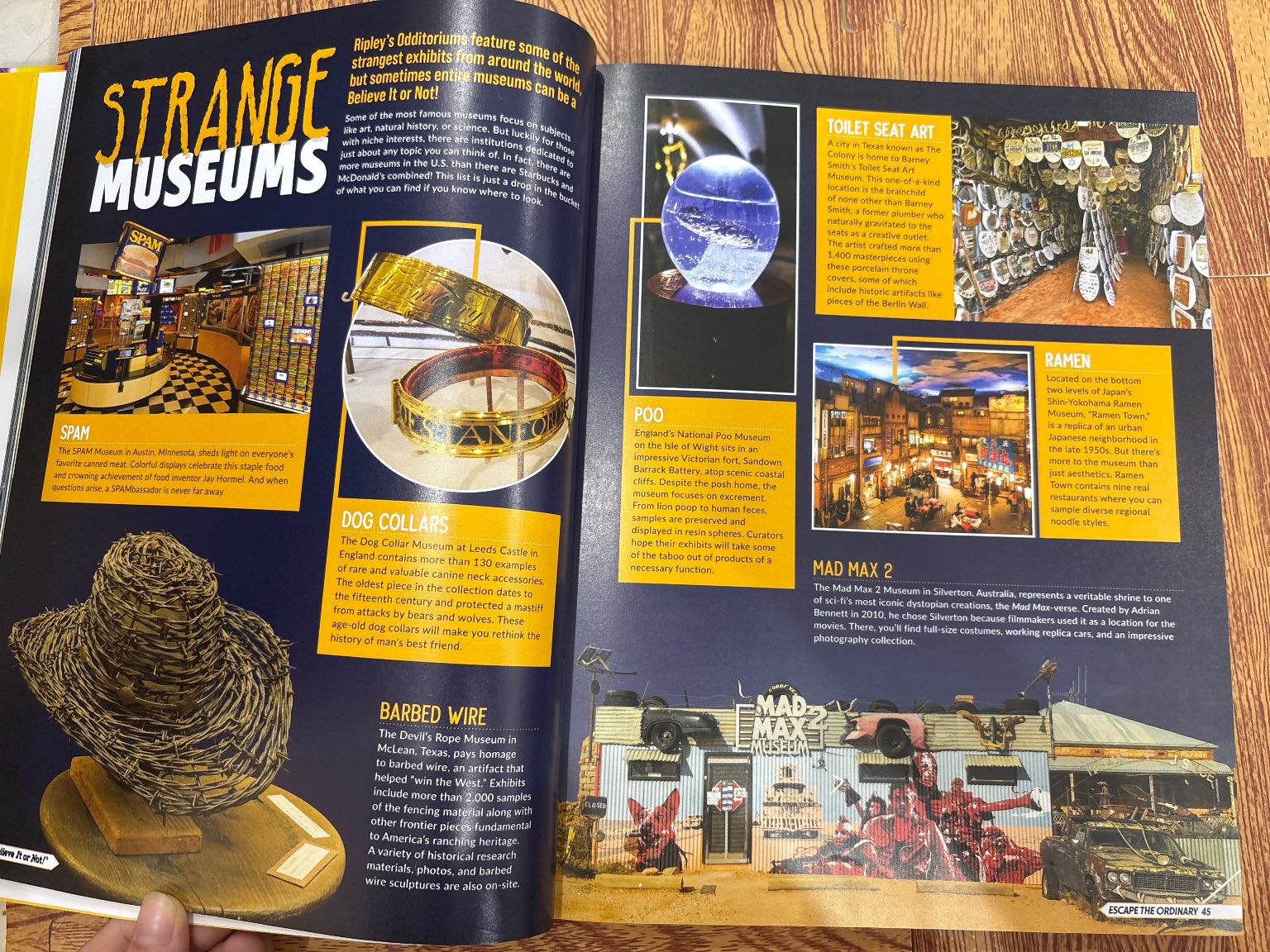 ALL NEW Ripley's Believe It or Not! Escape the Ordinary 2023 — ảnh 2
