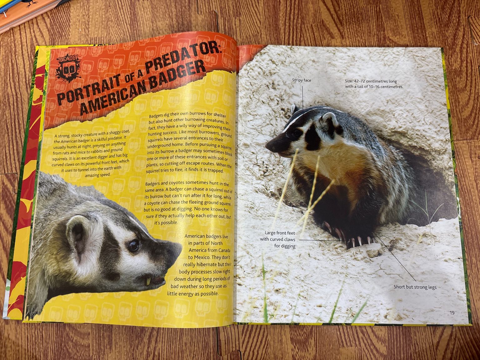 Deadly 2016 Annual — ảnh 2