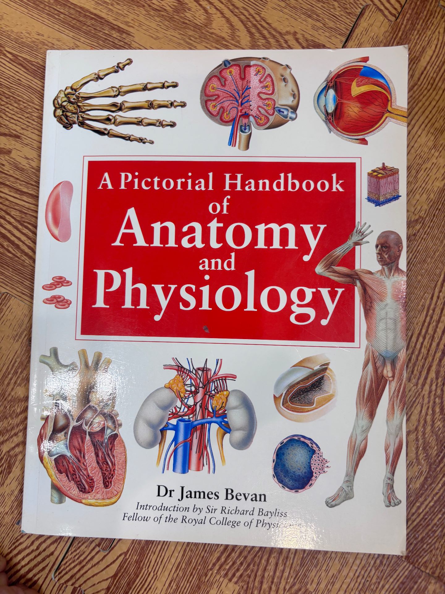 A Pictorial Handbook of Anatomy and Physiology