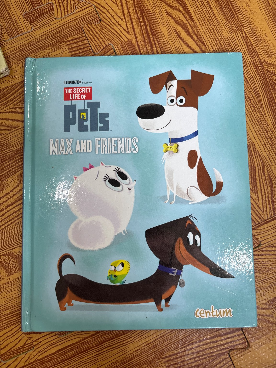 The Secret Life of Pets: Max and Friends — ảnh 1