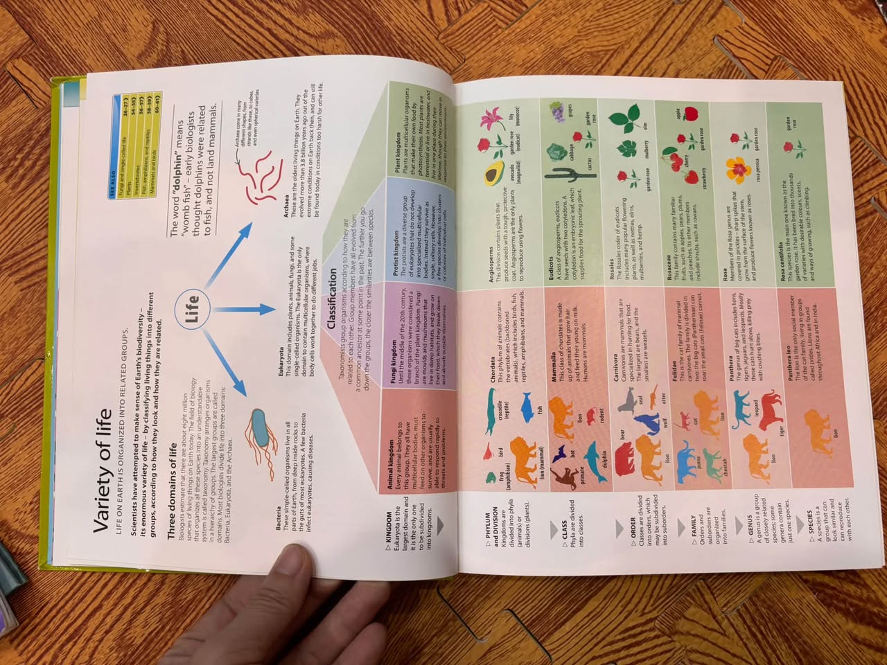 HELP YOUR KIDS WITH SCIENCE: A UNIQUE STEP-BY-STEP VISUAL GUIDE — ảnh 3