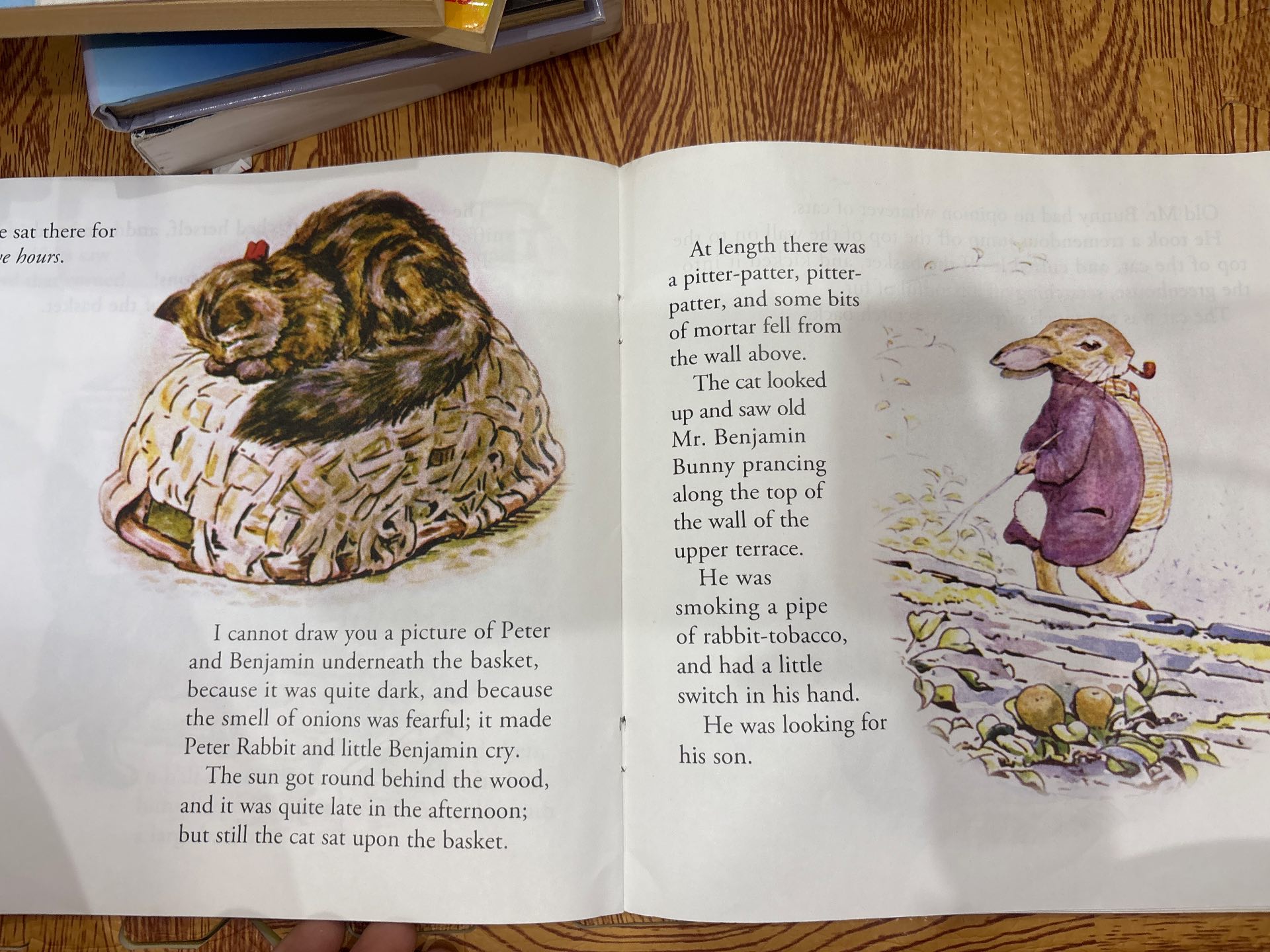 The Tale of Benjamin Bunny — ảnh 4