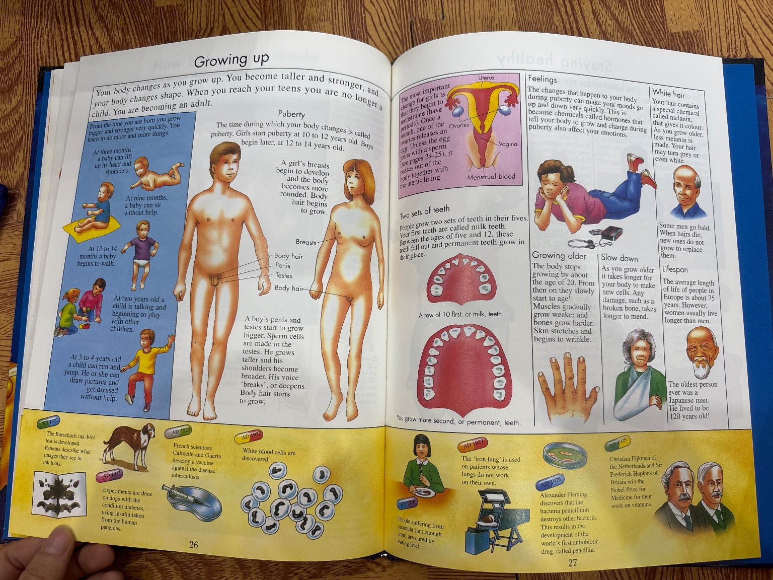 Knowledge Masters How Your Body Works — ảnh 5