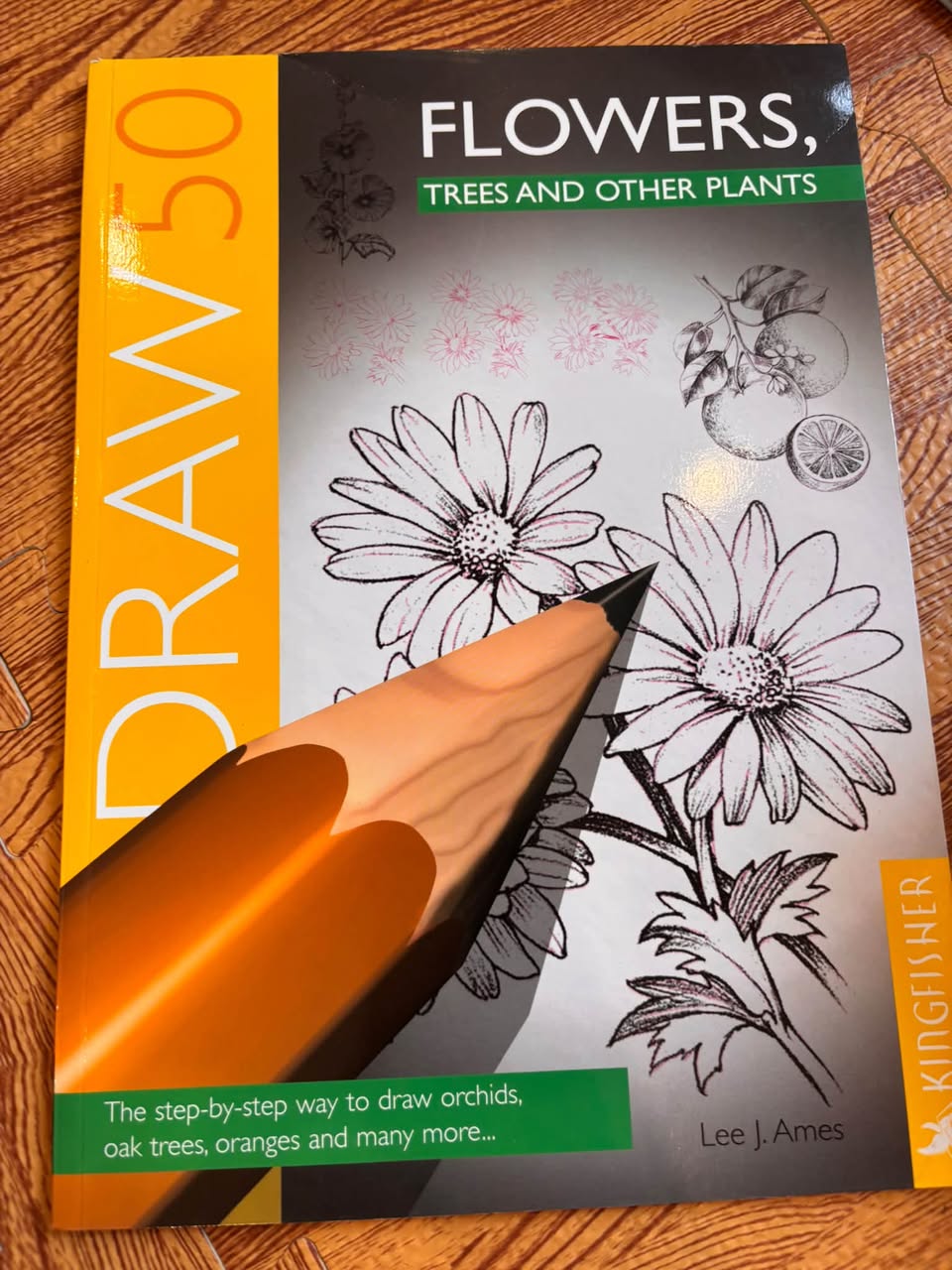 BỘ SÁCH DẠY VẼ: DRAW 50 SERIES (LEE J. AMES - KINGFISHER) — ảnh 2