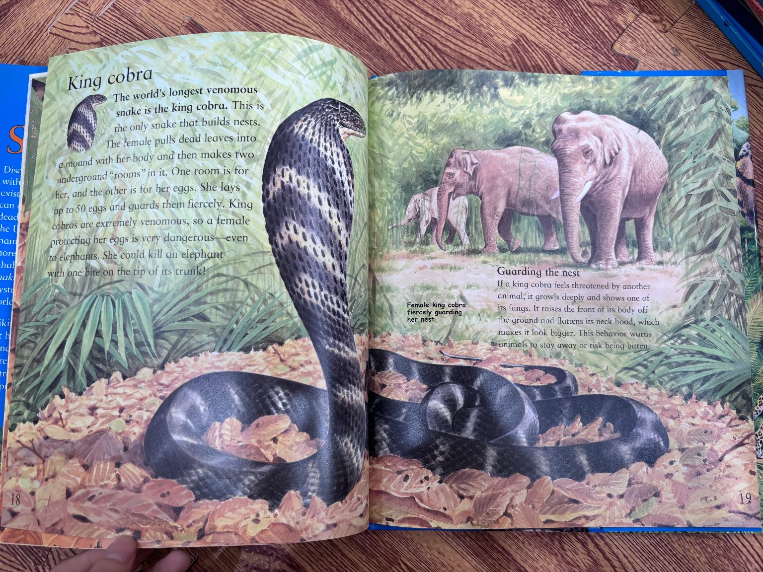The Best Book of Snakes — ảnh 3