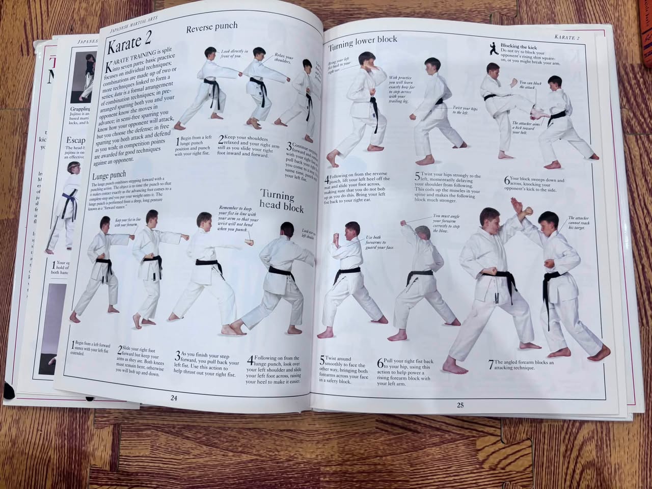 THE YOUNG MARTIAL ARTS ENTHUSIAST - DAVID MITCHELL — ảnh 3