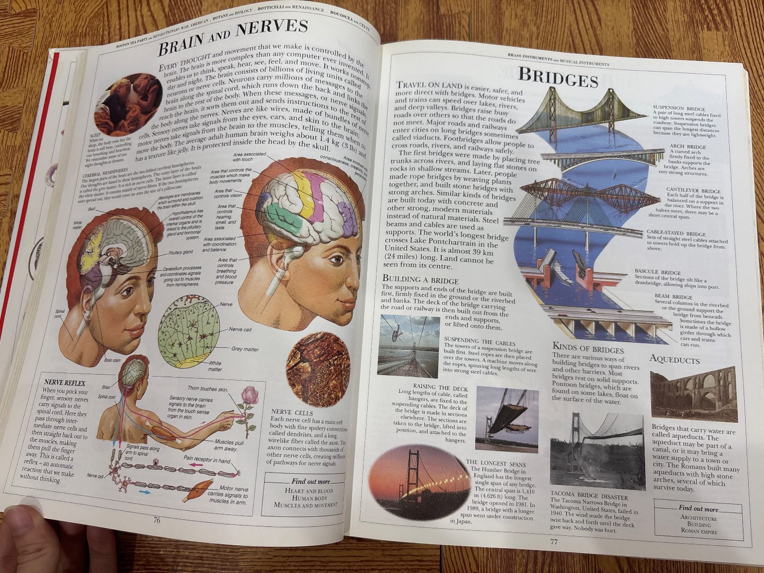 Children's Illustrated Encyclopedia — ảnh 2