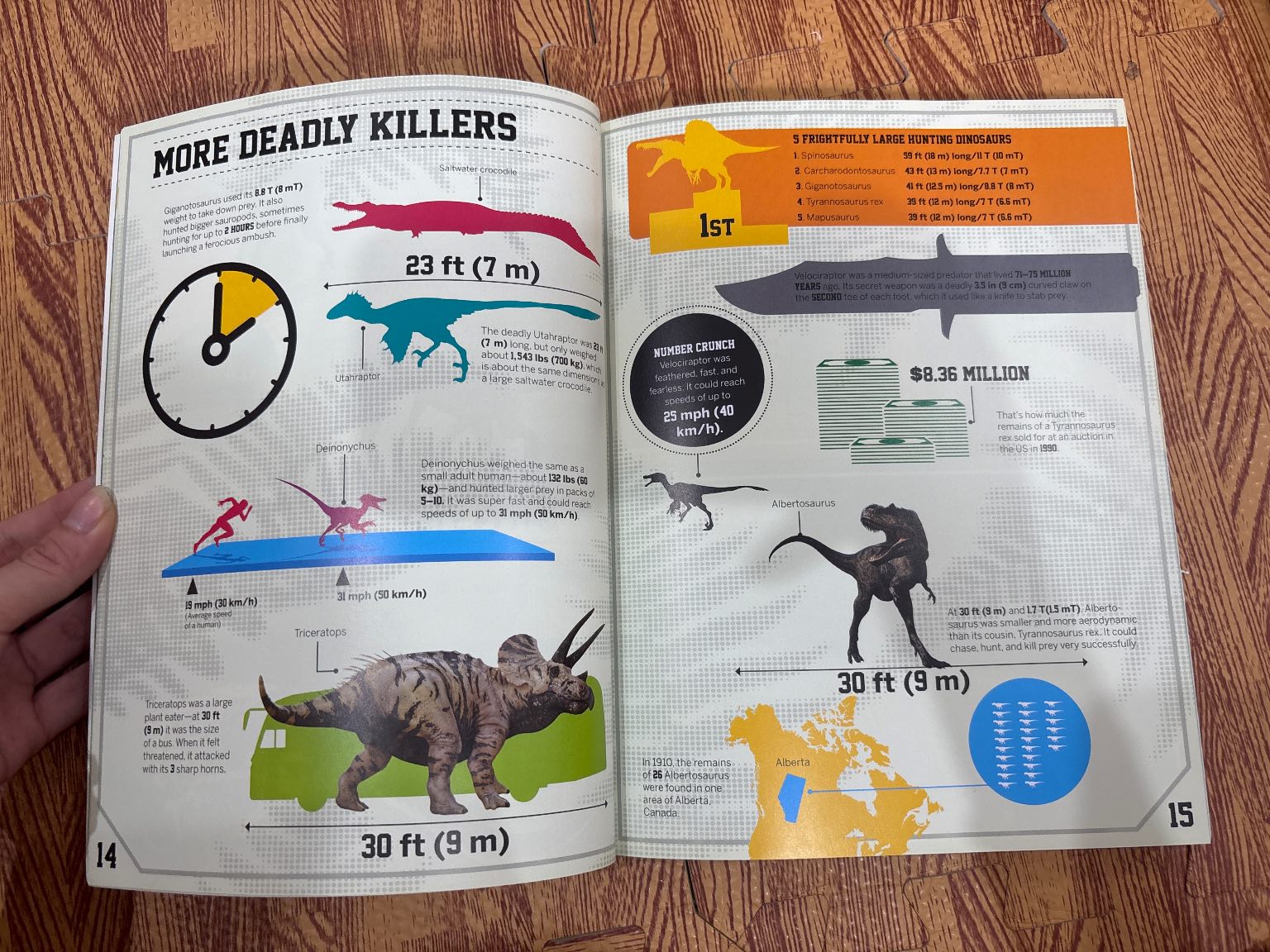 DINOSAUR NUMBER CRUNCH — ảnh 2