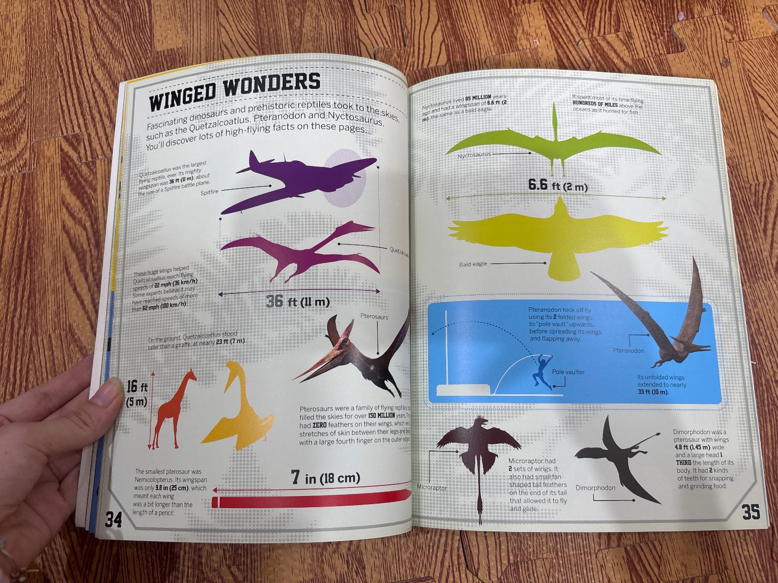 DINOSAUR NUMBER CRUNCH — ảnh 5