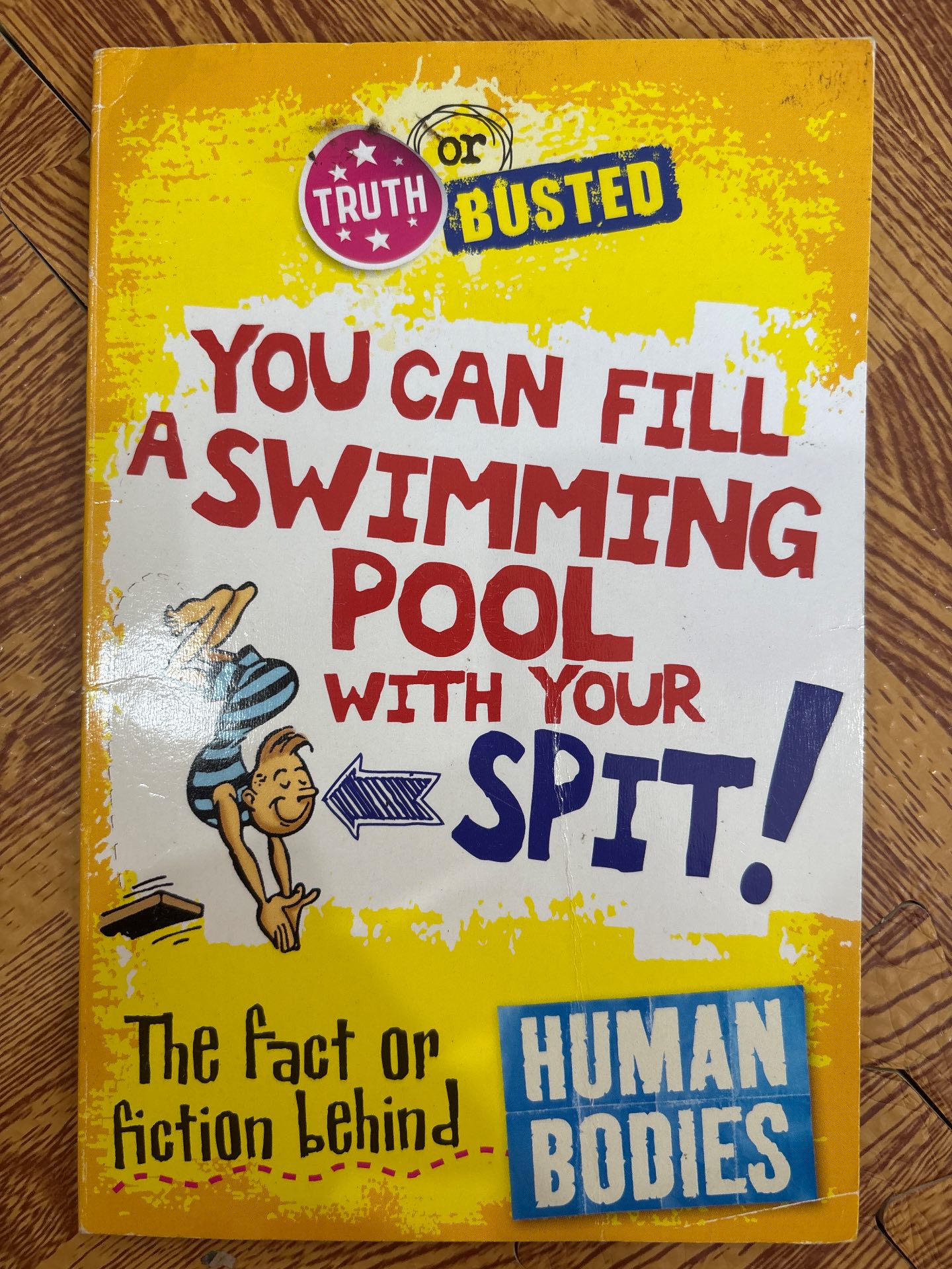 Truth or Busted: You Can Fill a Swimming Pool with Your Spit! The Fact or Fiction Behind Human Bodies — ảnh 1