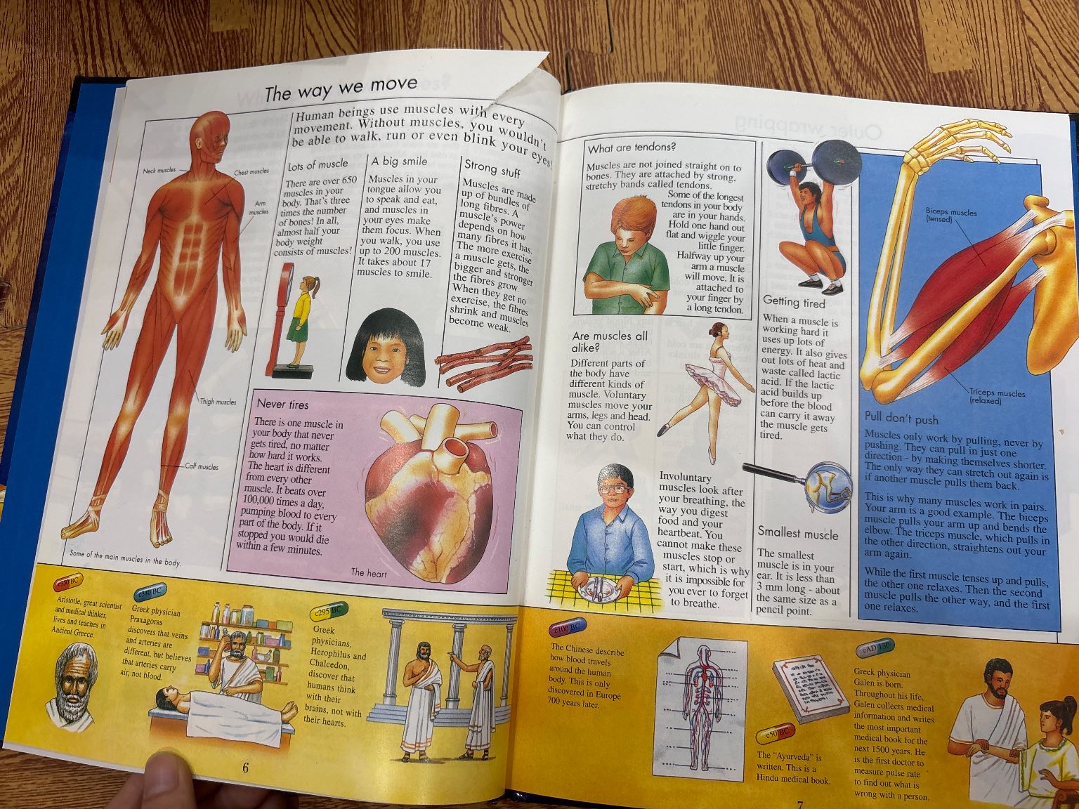 Knowledge Masters How Your Body Works — ảnh 2