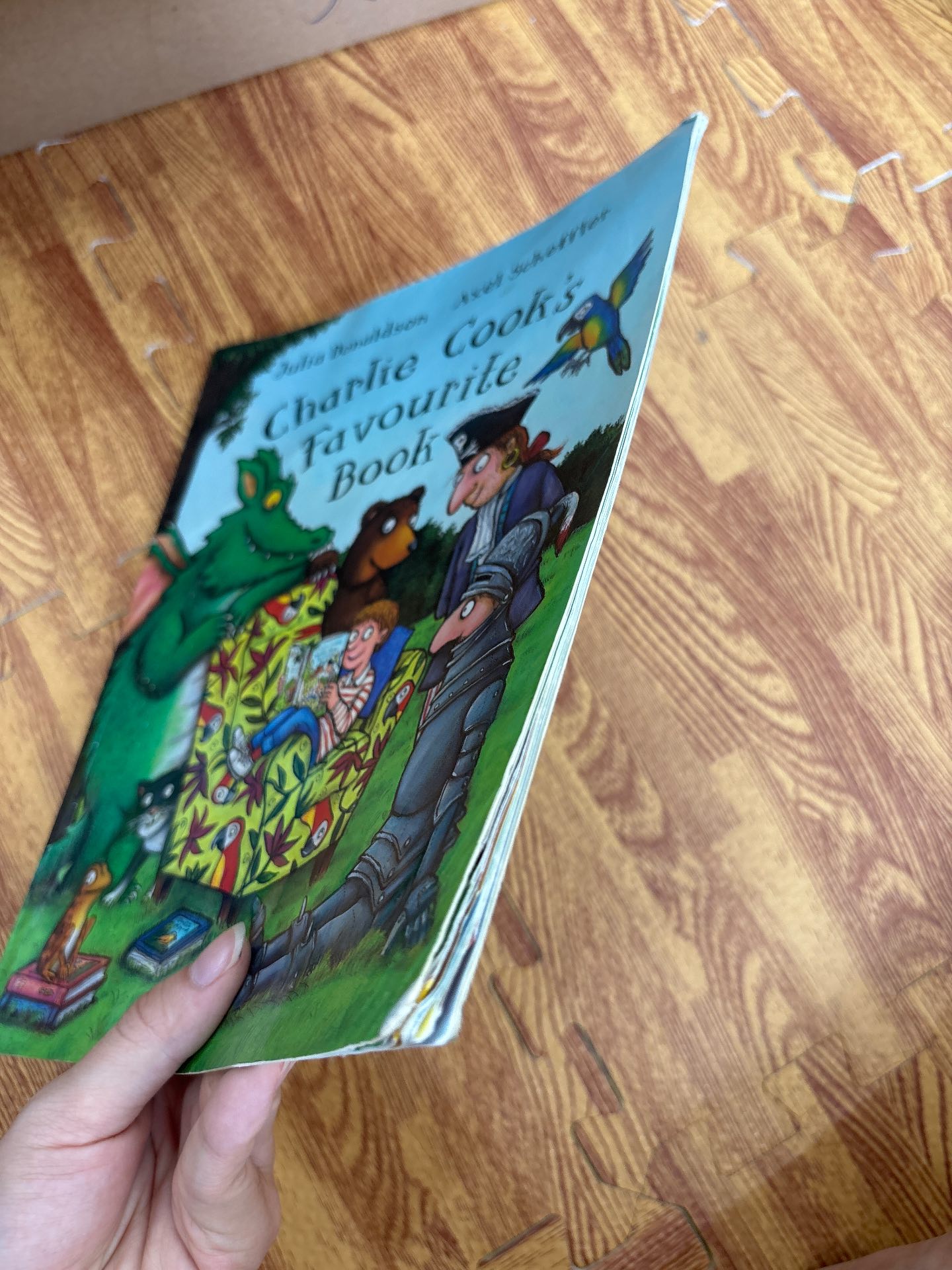 Charlie Cook's Favourite Book — ảnh 6