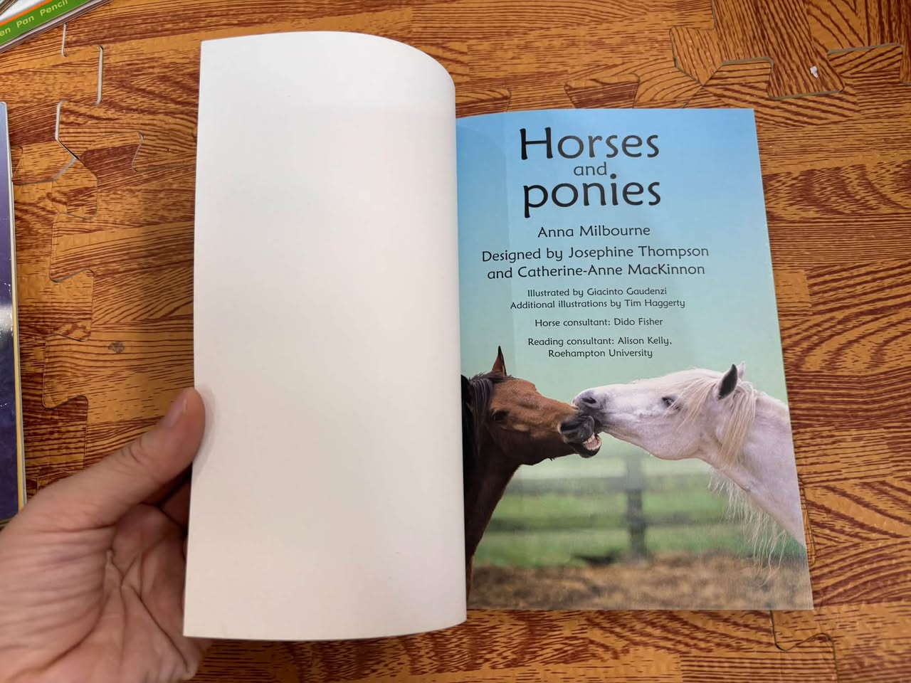 HORSES AND PONIES (USBORNE DISCOVERY / BEGINNERS) — ảnh 2