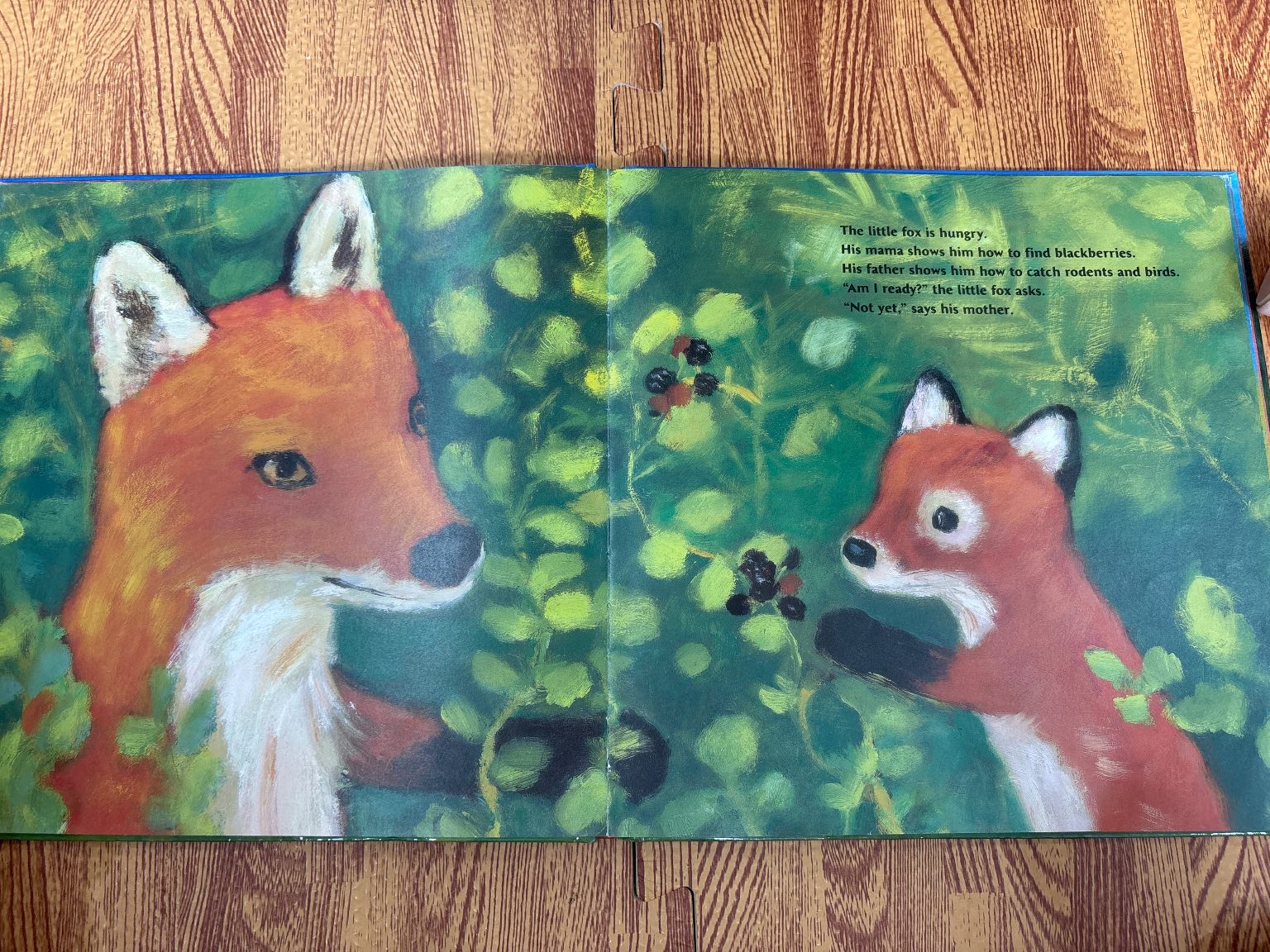 FOX — ảnh 6