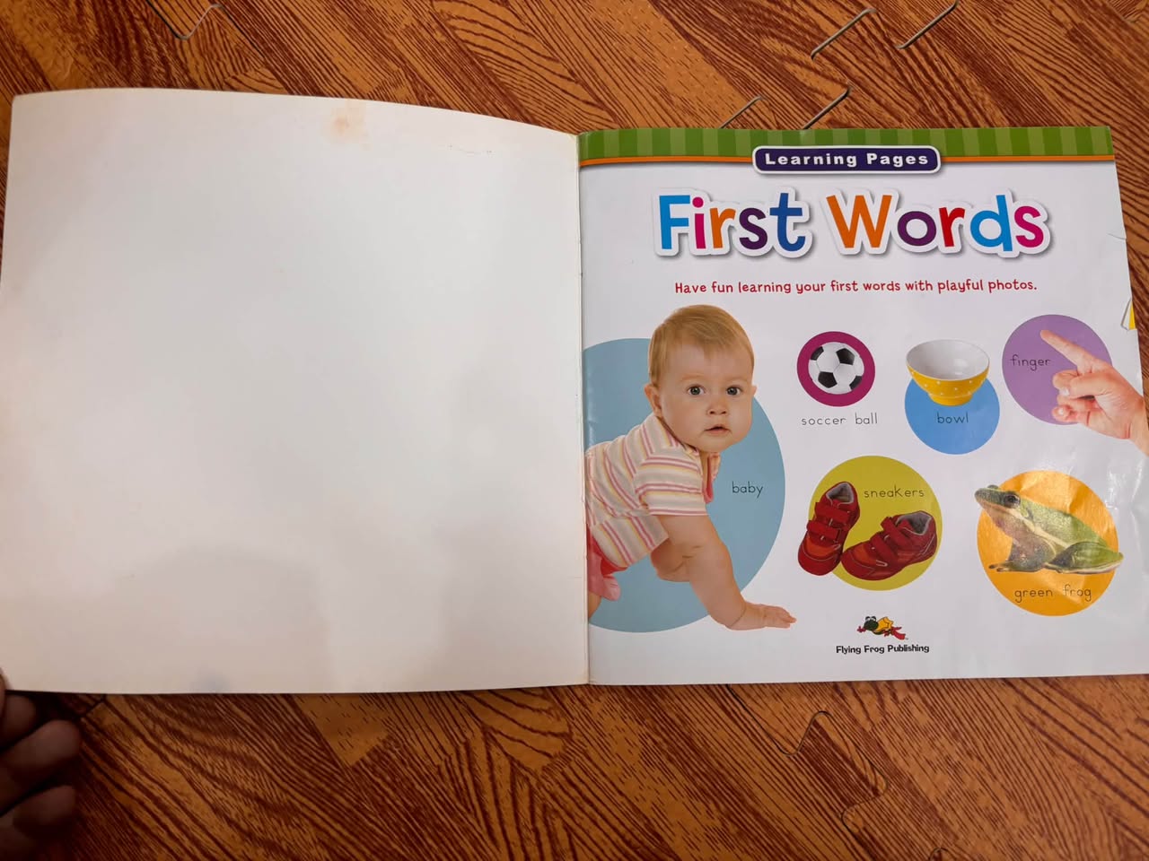 LEARNING PAGES: FIRST WORDS (200+ GREAT VISUAL IMAGES) — ảnh 2