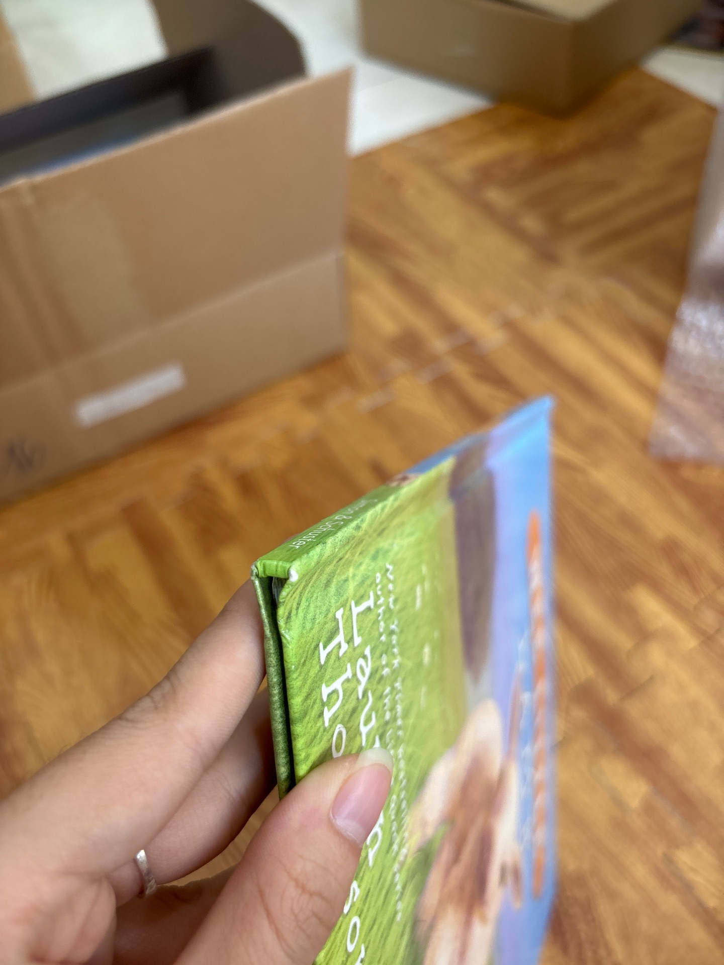 WEE LITTLE LAMB — ảnh 6