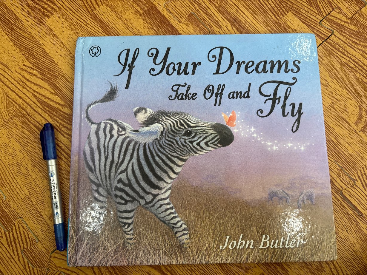 If Your Dreams Take Off and Fly — ảnh 1