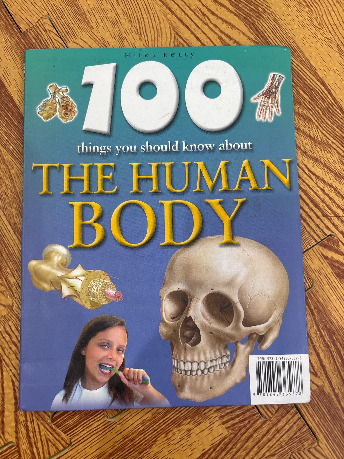 100 things you should know about THE HUMAN BODY — ảnh 1