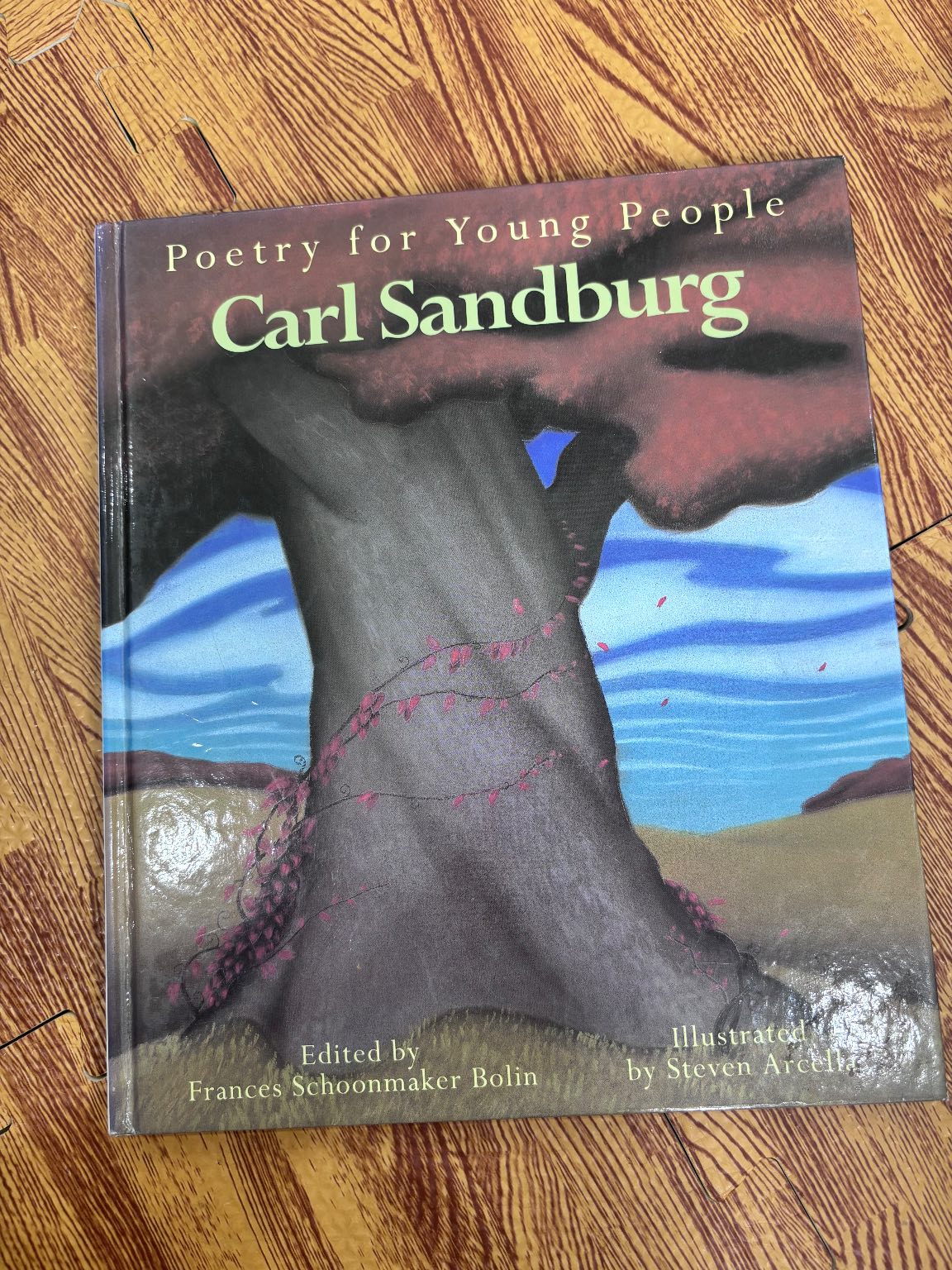 Poetry for Young People Carl Sandburg