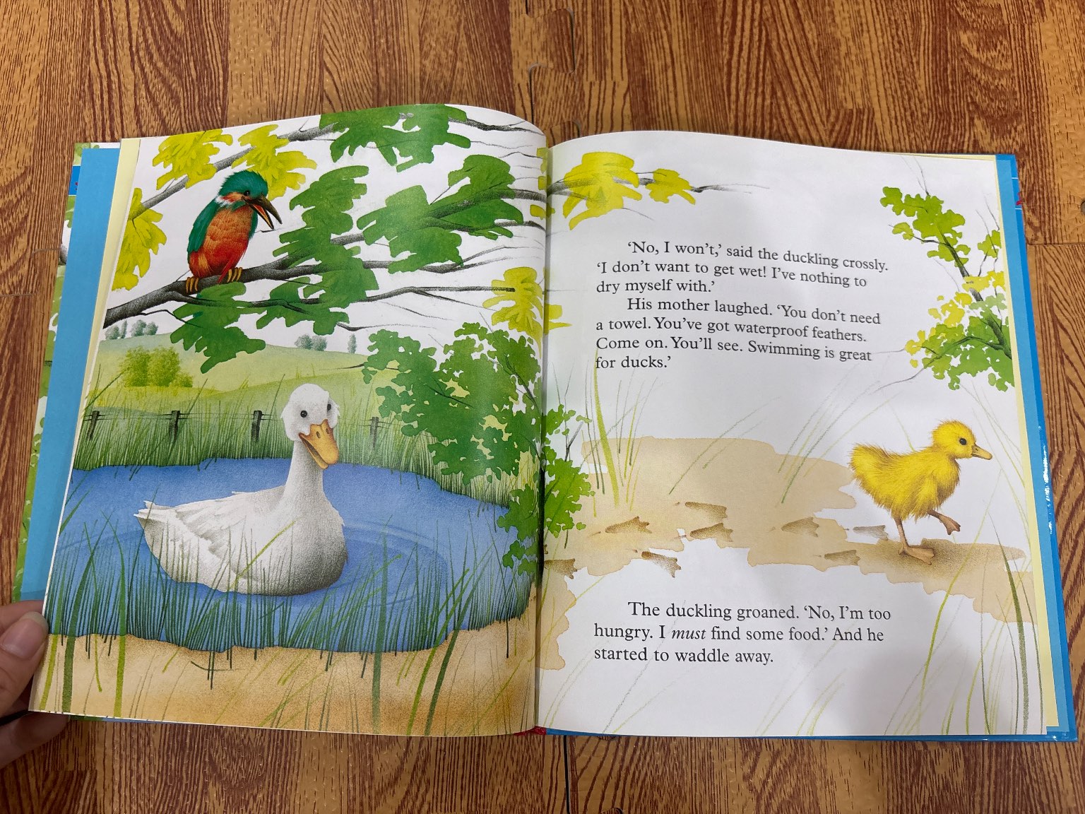 The Hungry Duckling — ảnh 6