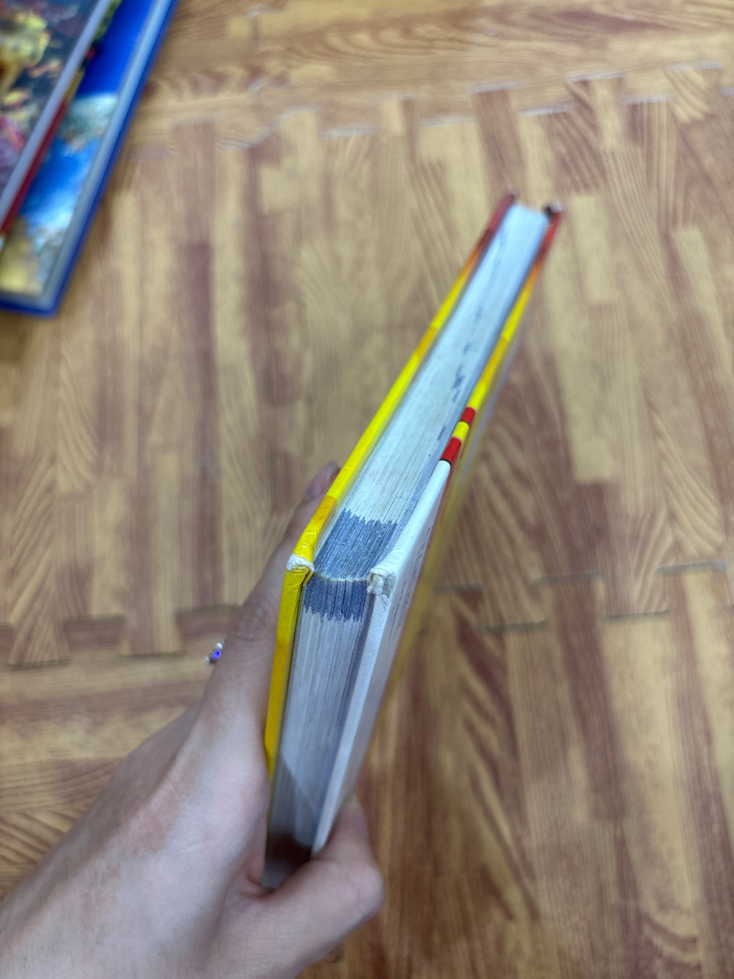 Oxford Junior Thesaurus — ảnh 9