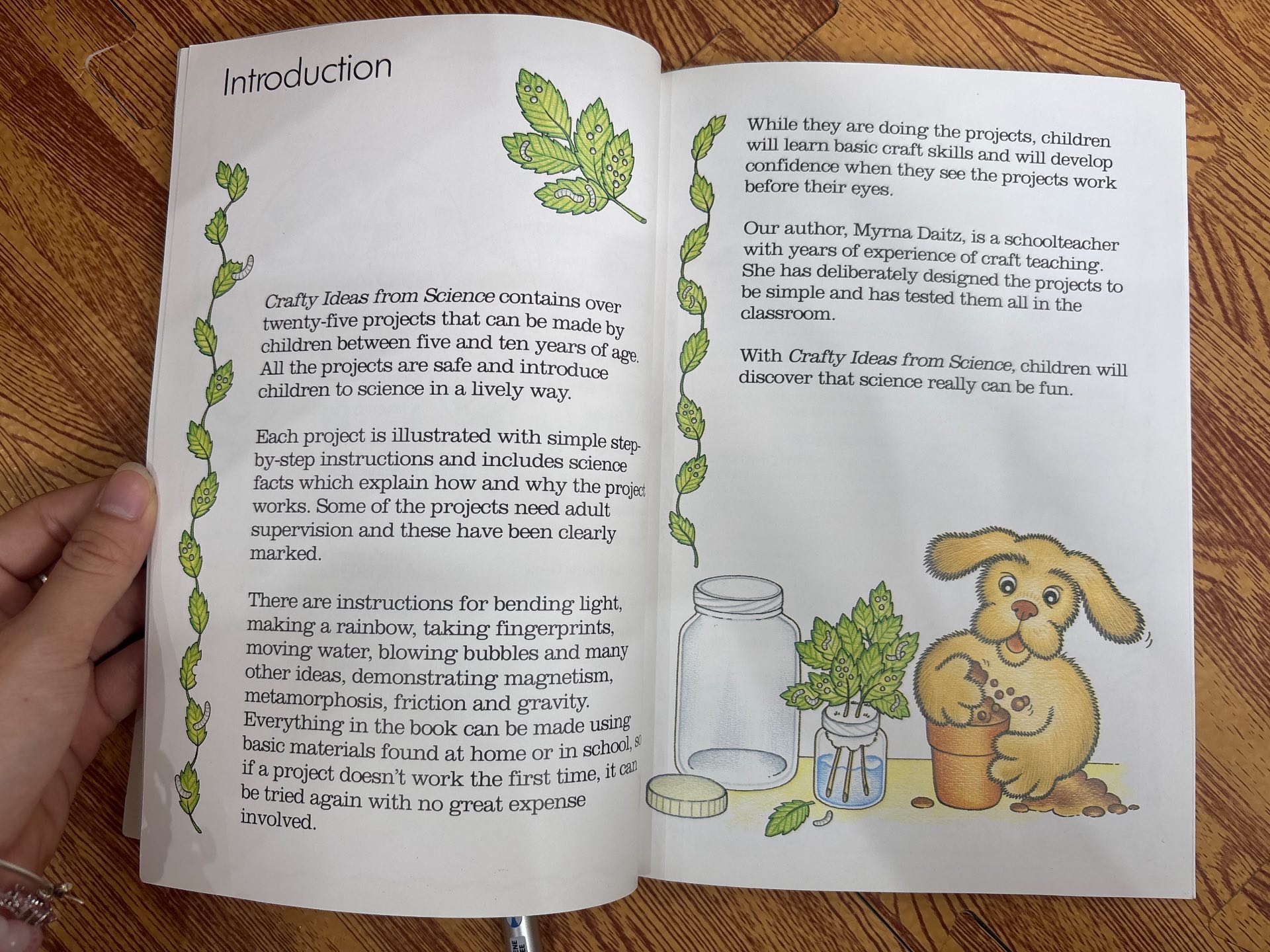 Crafty Idea from Science — ảnh 5