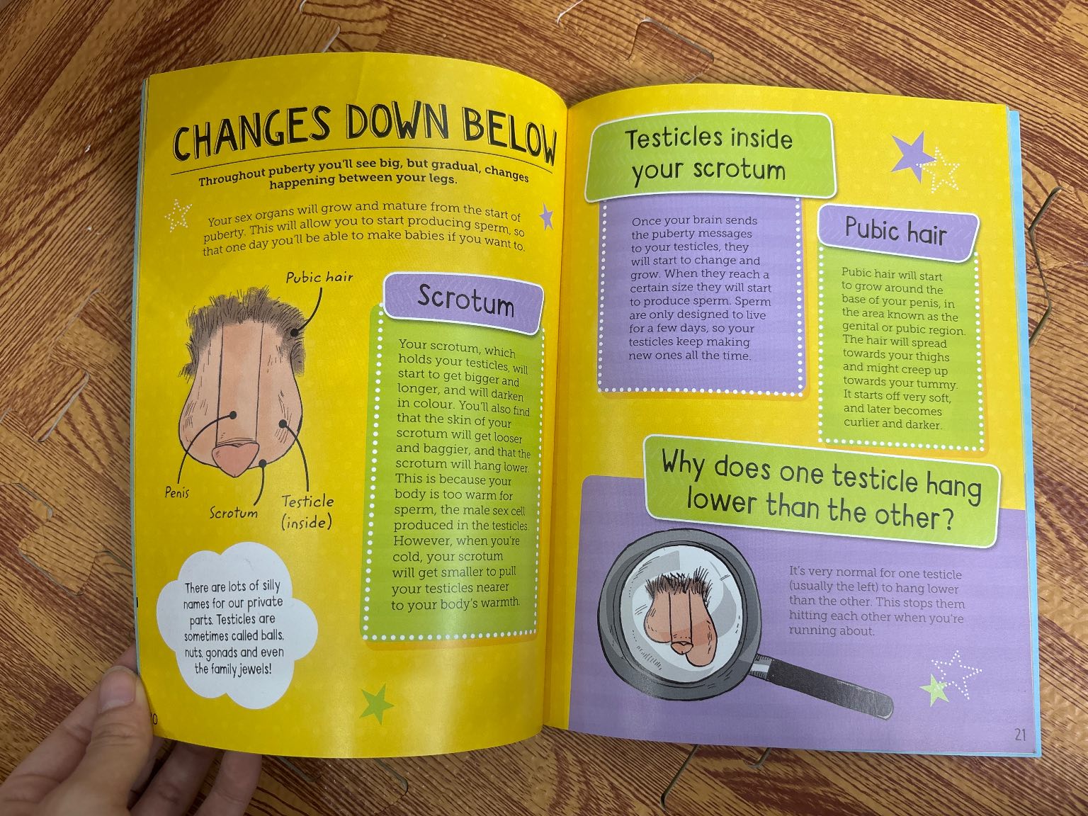 THE Boys' GUIDE TO GROWING UP — ảnh 6