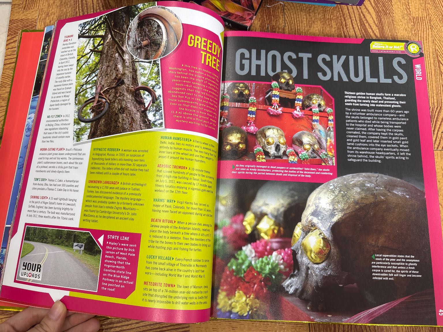 Ripley's Believe It or Not! Dare To Look! — ảnh 2