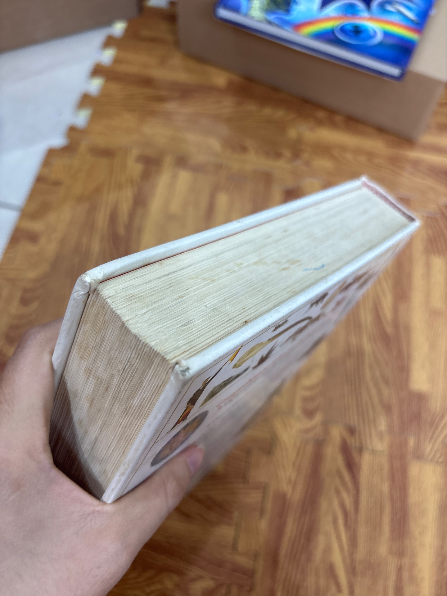 Children's Illustrated Encyclopedia — ảnh 9