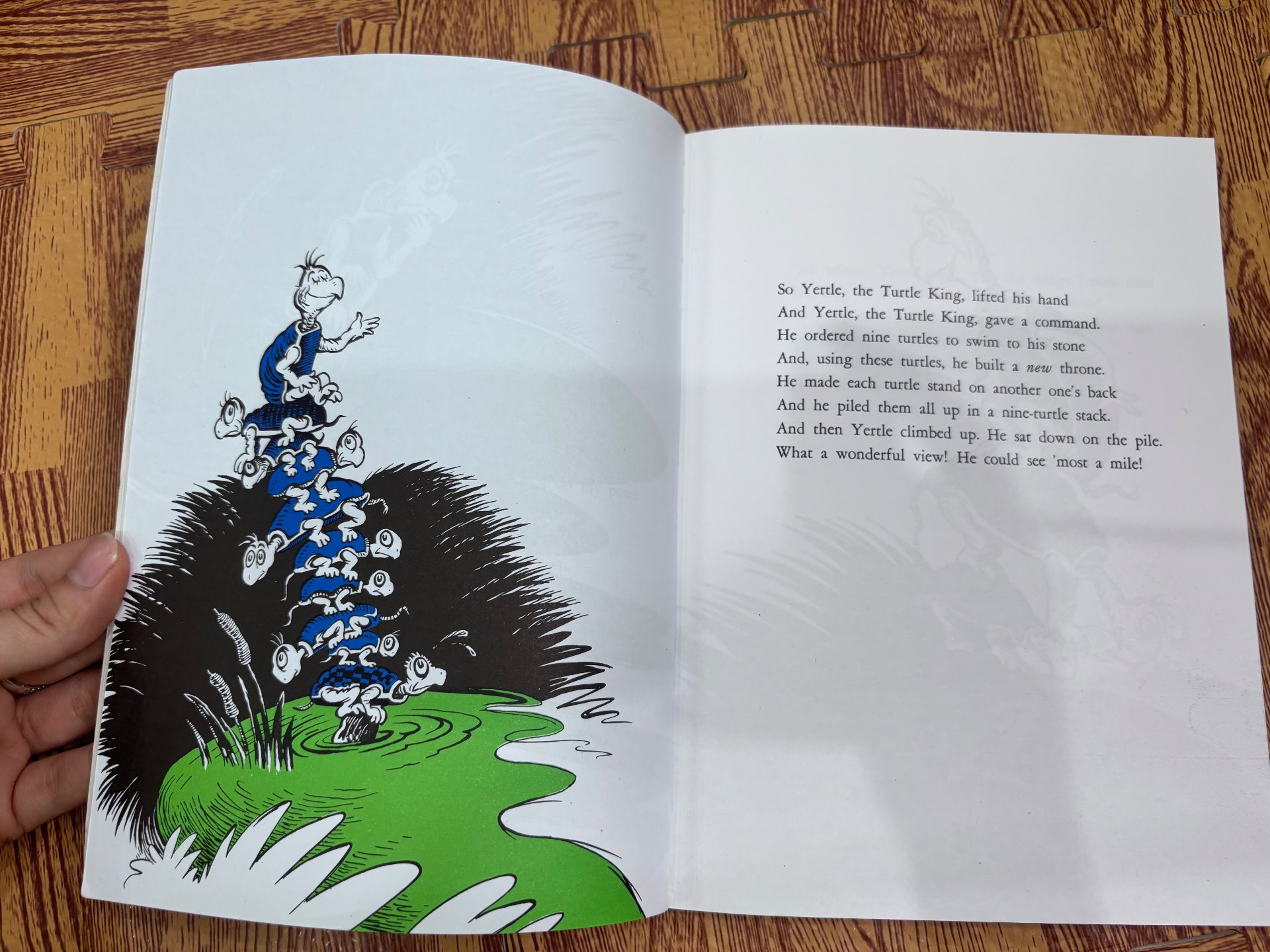 YERTLE THE TURTLE AND OTHER STORIES — ảnh 3