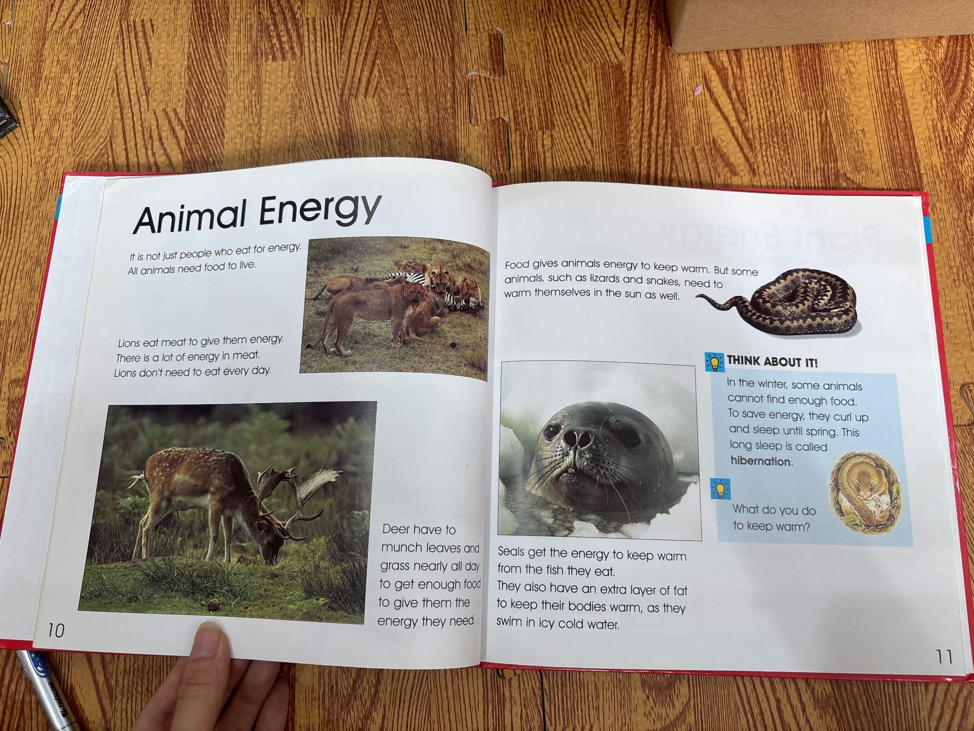 IT'S SCIENCE! Full of Energy — ảnh 2
