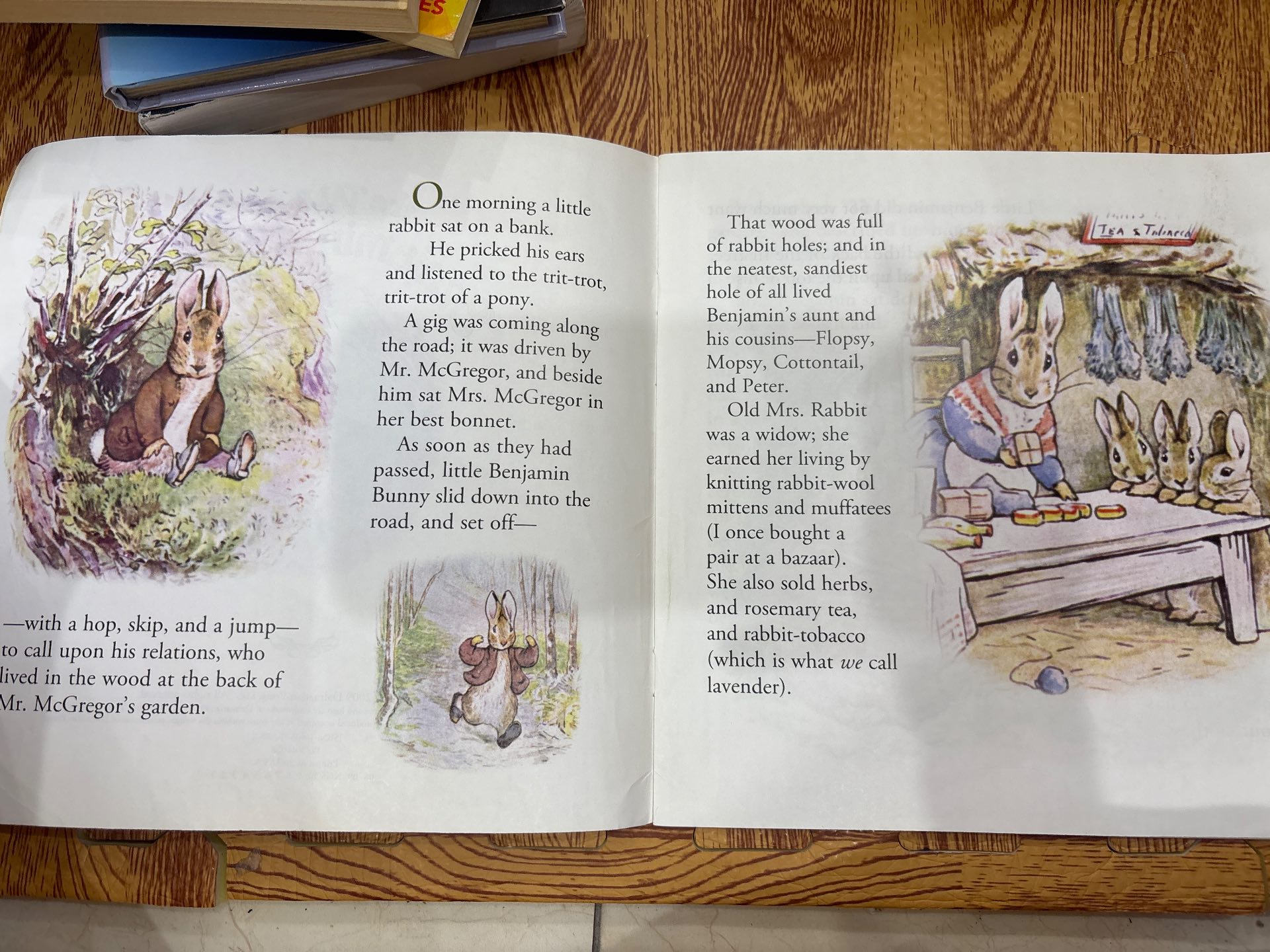 The Tale of Benjamin Bunny — ảnh 2