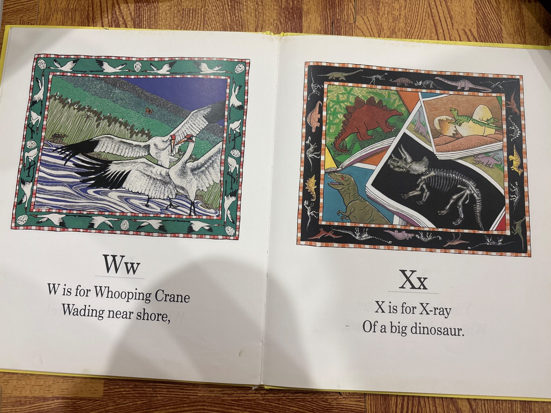 The Wildlife ABC — ảnh 4
