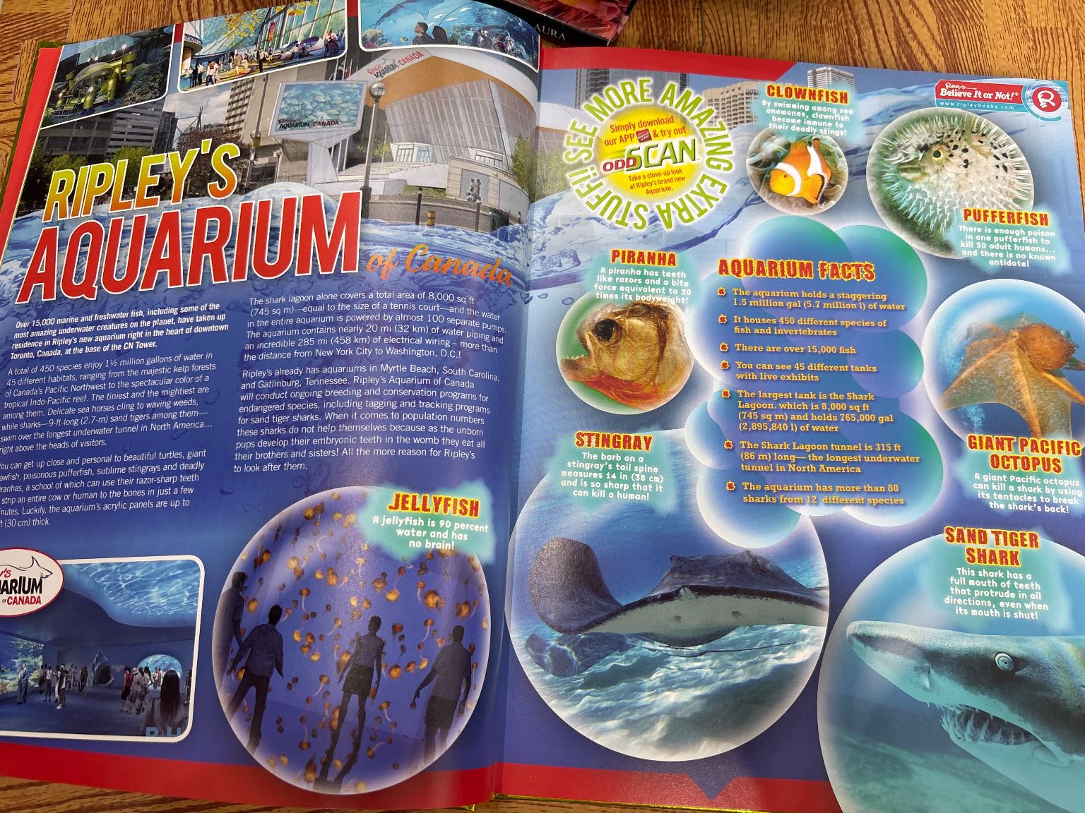 Ripley's Believe It or Not! Dare To Look! — ảnh 5