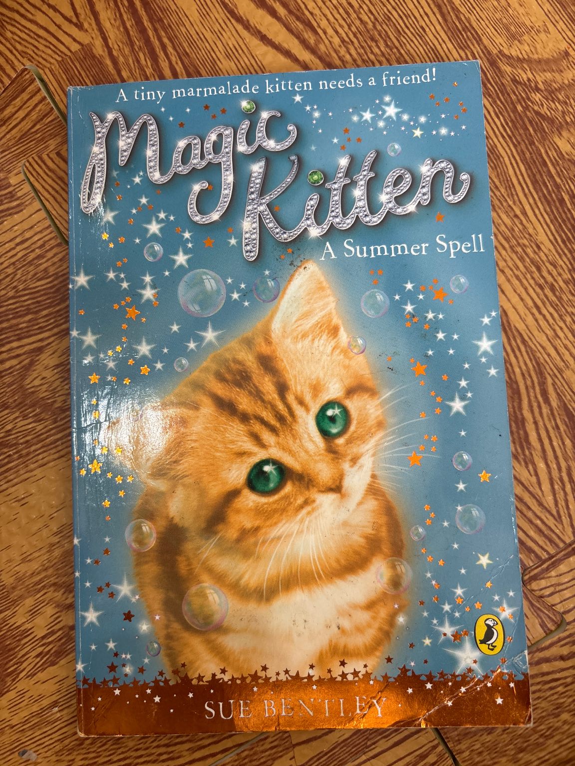 Magic Kitten: A Summer Spell