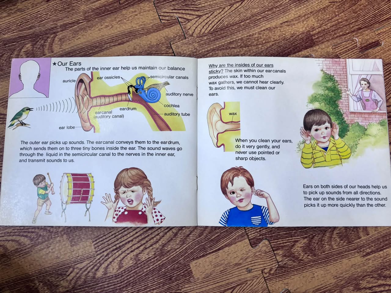 ALL ABOUT OUR BODIES: 4 — OUR EYES, EARS, AND NOSES — ảnh 3