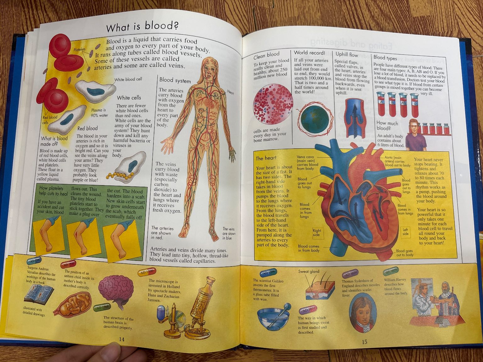 Knowledge Masters How Your Body Works — ảnh 3