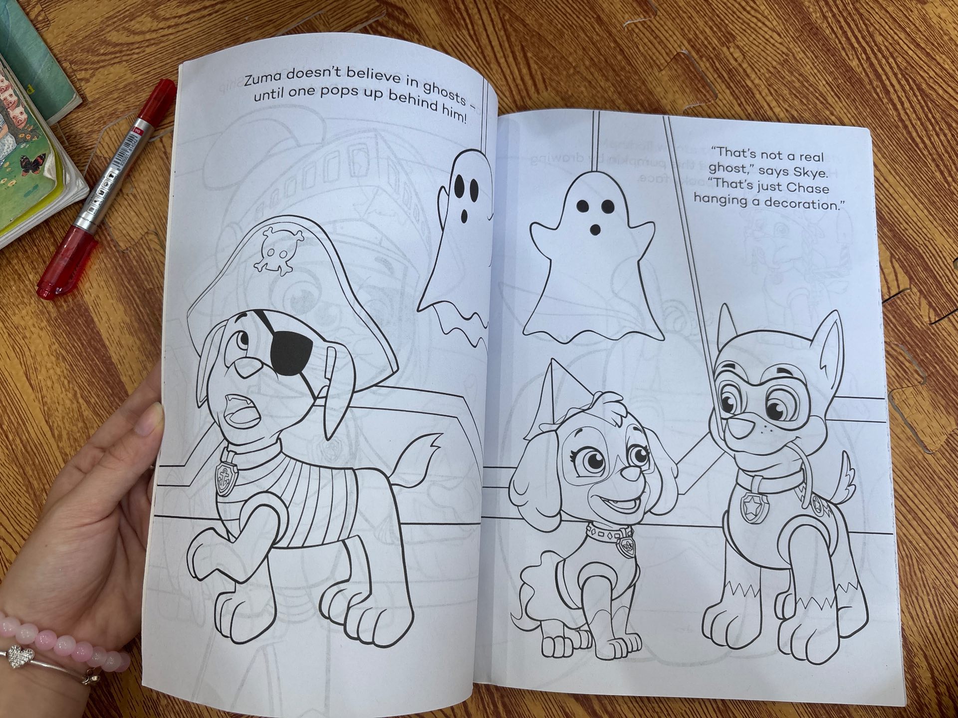 PAW PATROL: Ghost Pirate Colouring — ảnh 4