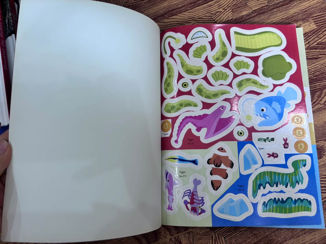 KNOW AND GLOW: OCEAN STICKER ACTIVITIES (GLOW-IN-THE-DARK STICKERS) — ảnh 3