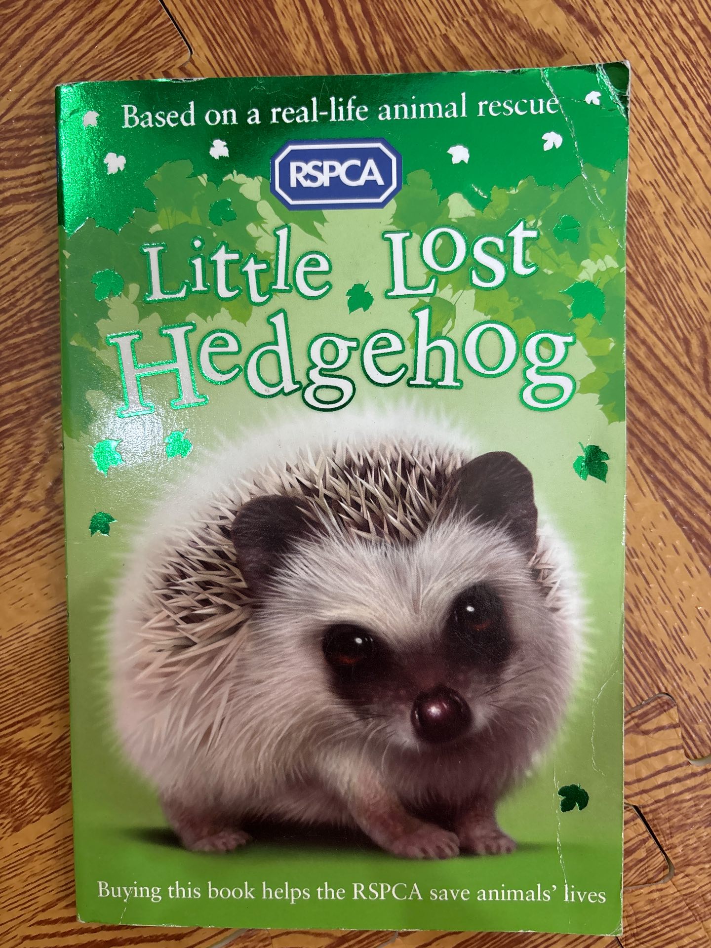 Little Lost Hedgehog