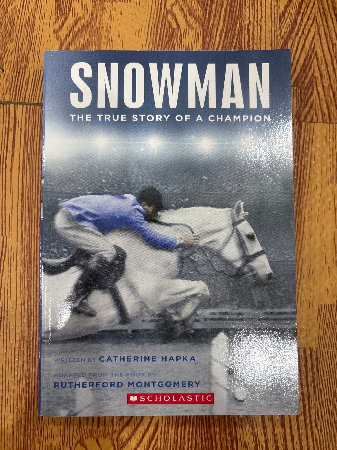 Snowman — ảnh 1