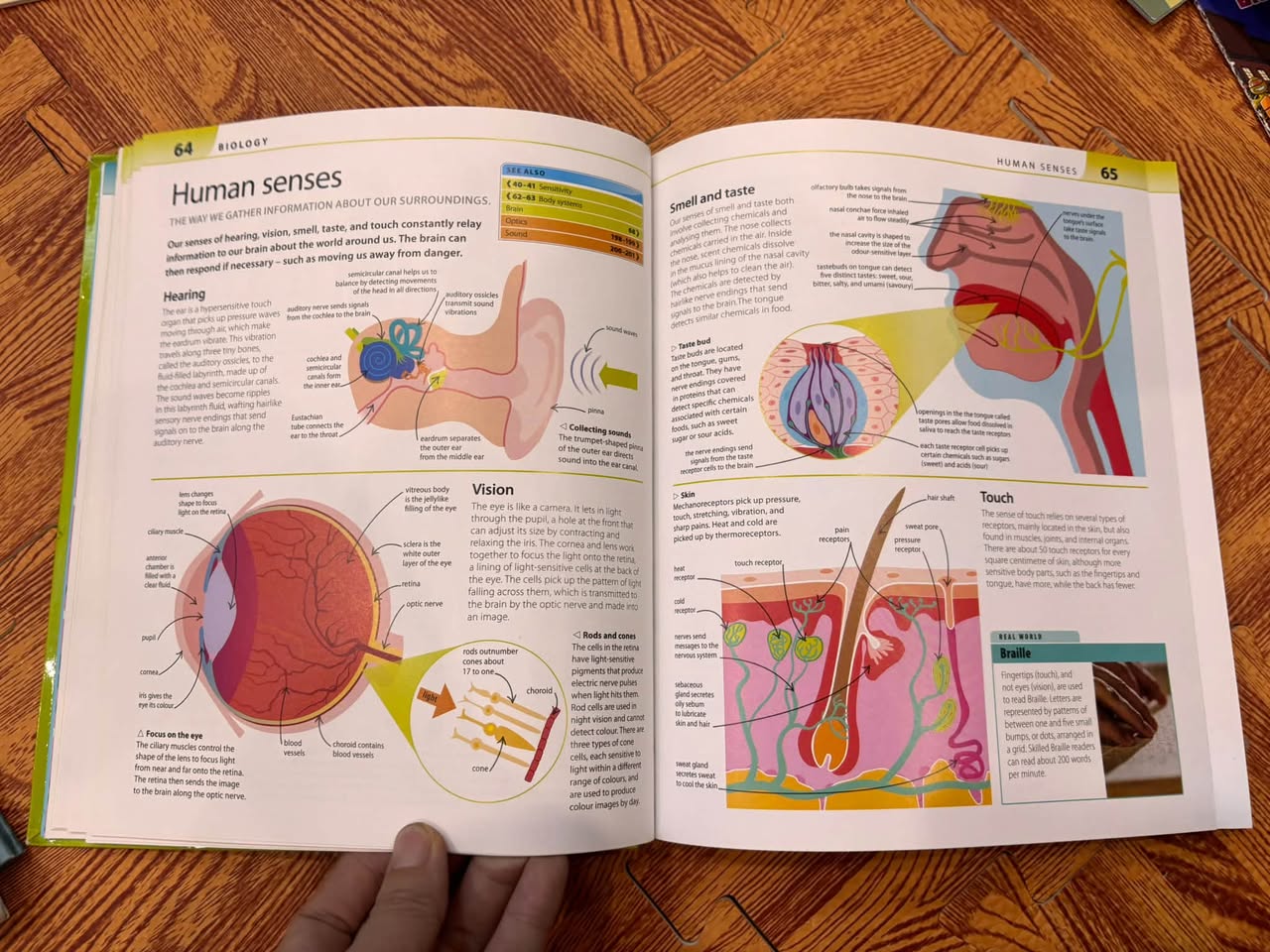 HELP YOUR KIDS WITH SCIENCE: A UNIQUE STEP-BY-STEP VISUAL GUIDE — ảnh 5