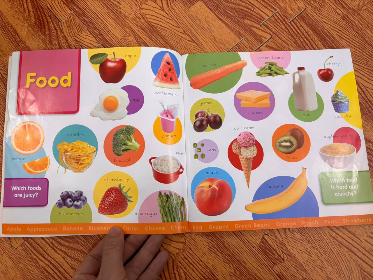 LEARNING PAGES: FIRST WORDS (200+ GREAT VISUAL IMAGES) — ảnh 3